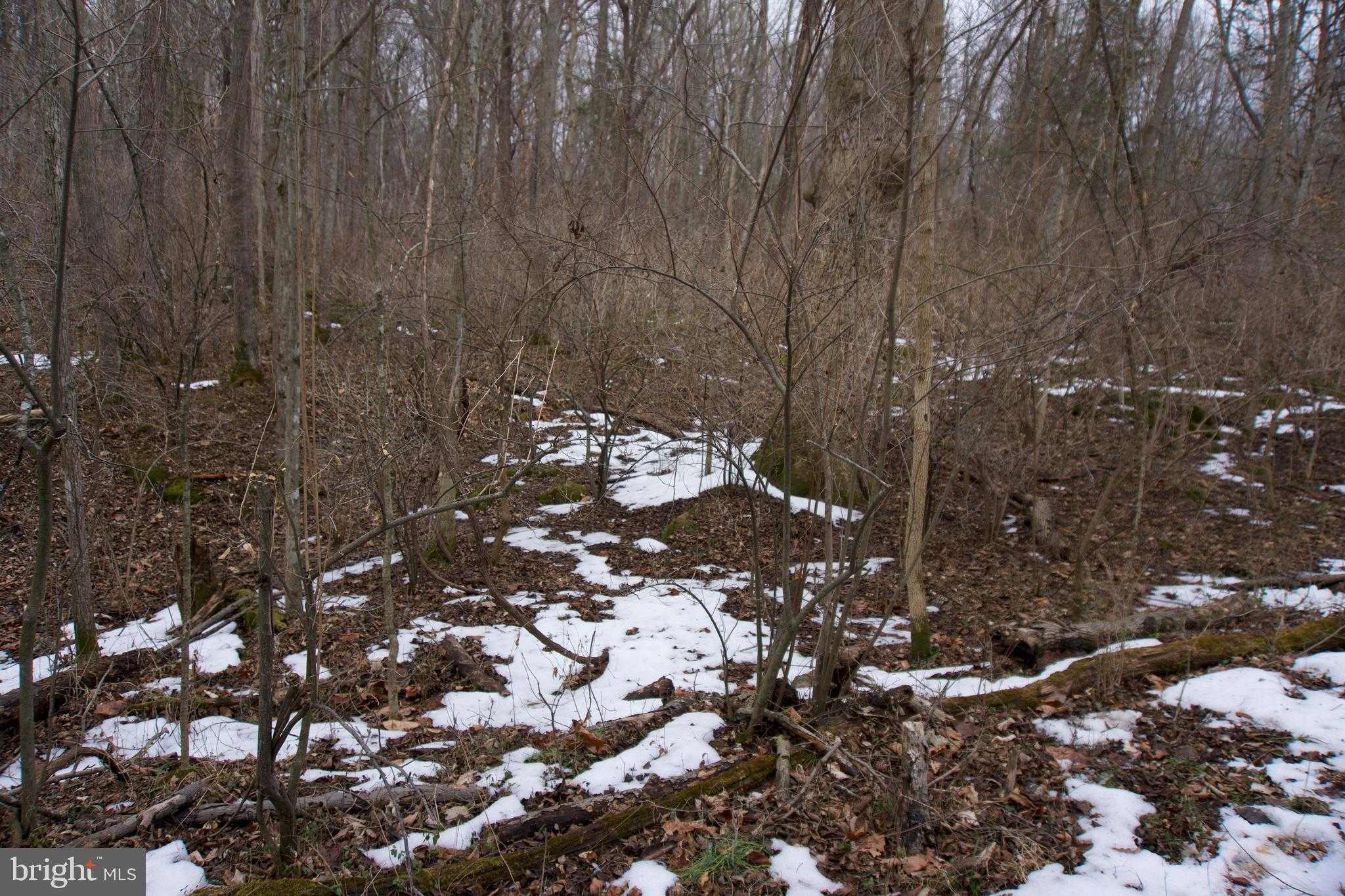 480 Beylors Ferry Rd photo 20