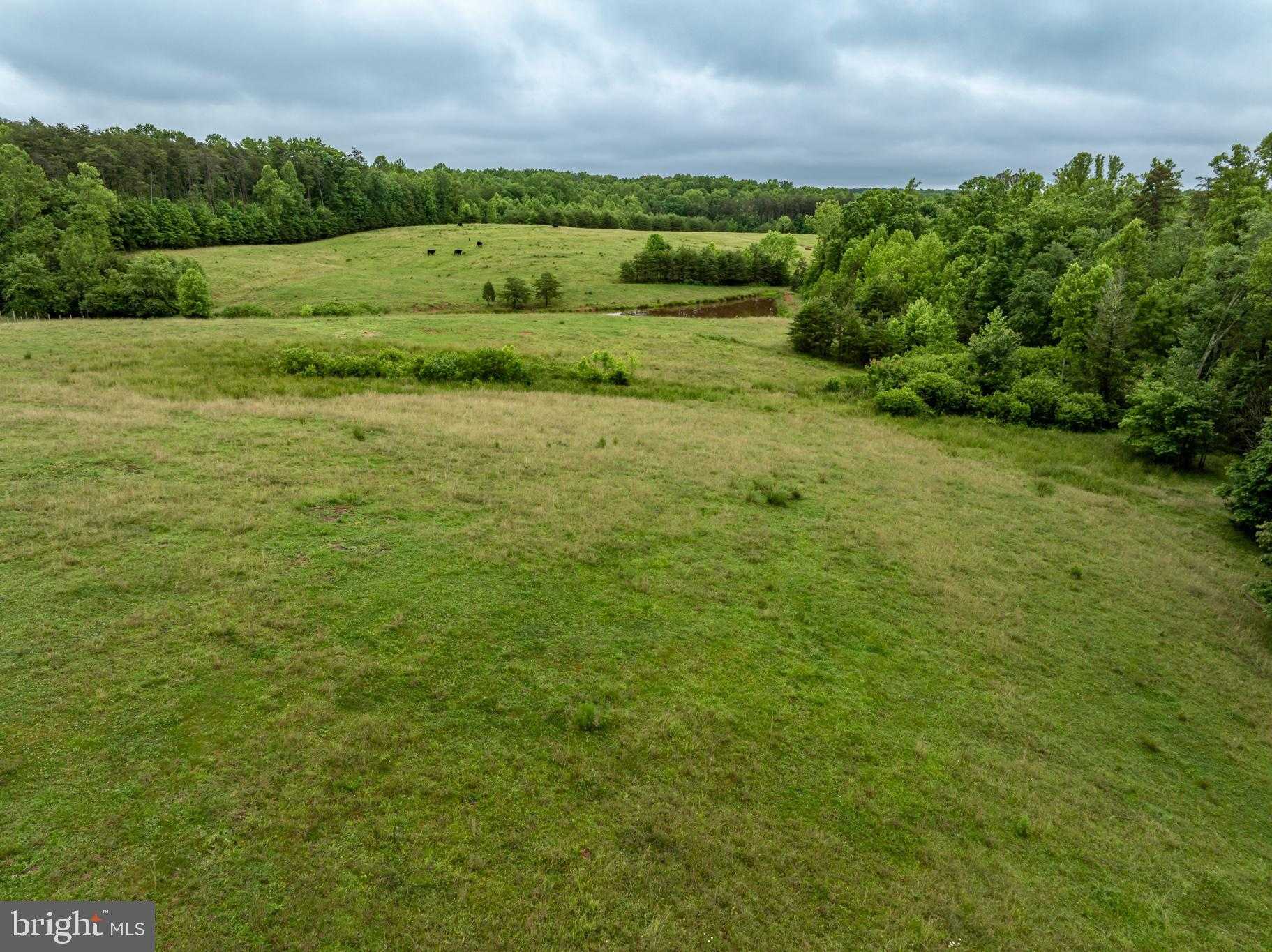 50 Elizabeth Ln photo 23