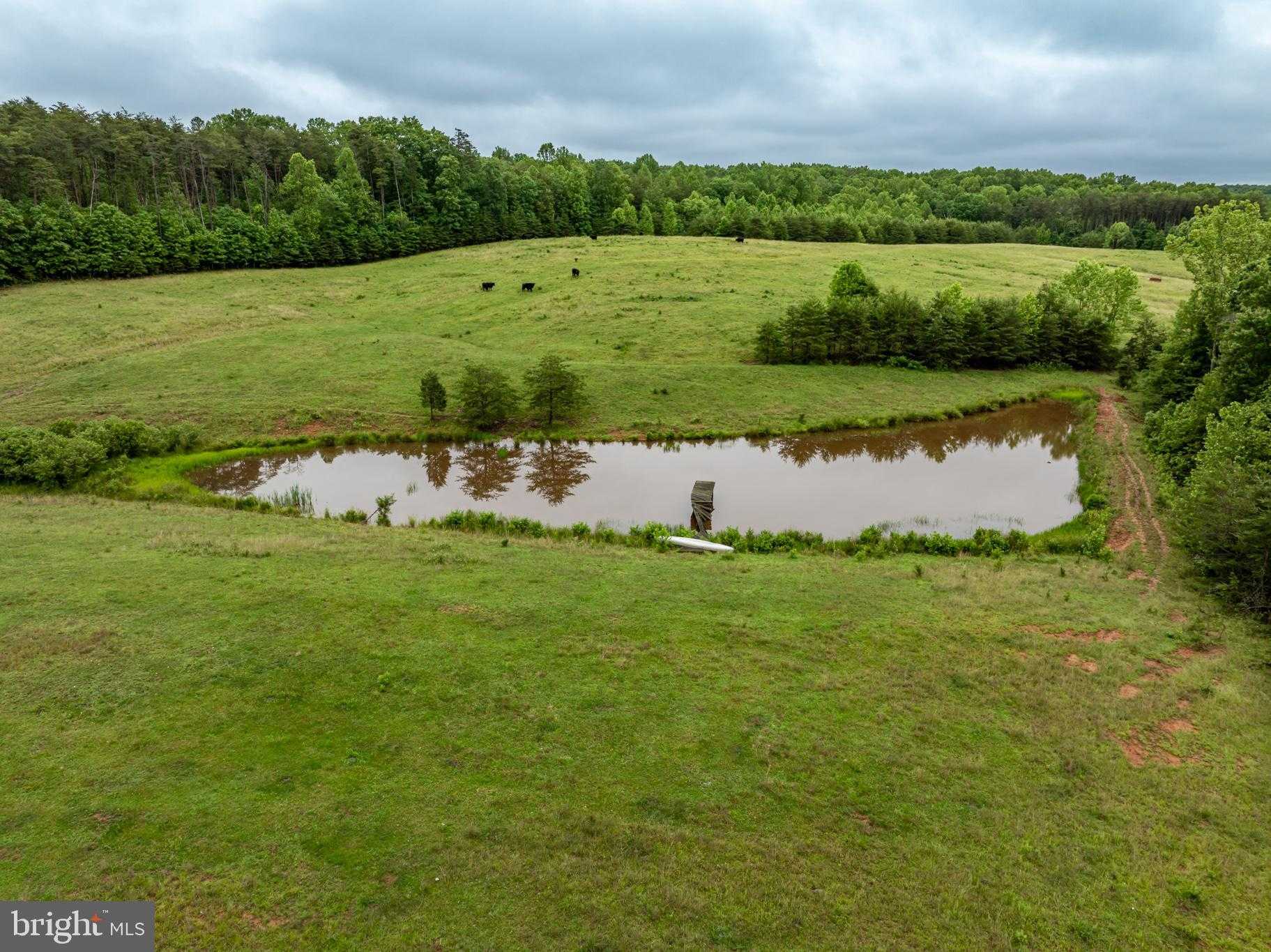 50 Elizabeth Ln photo 24