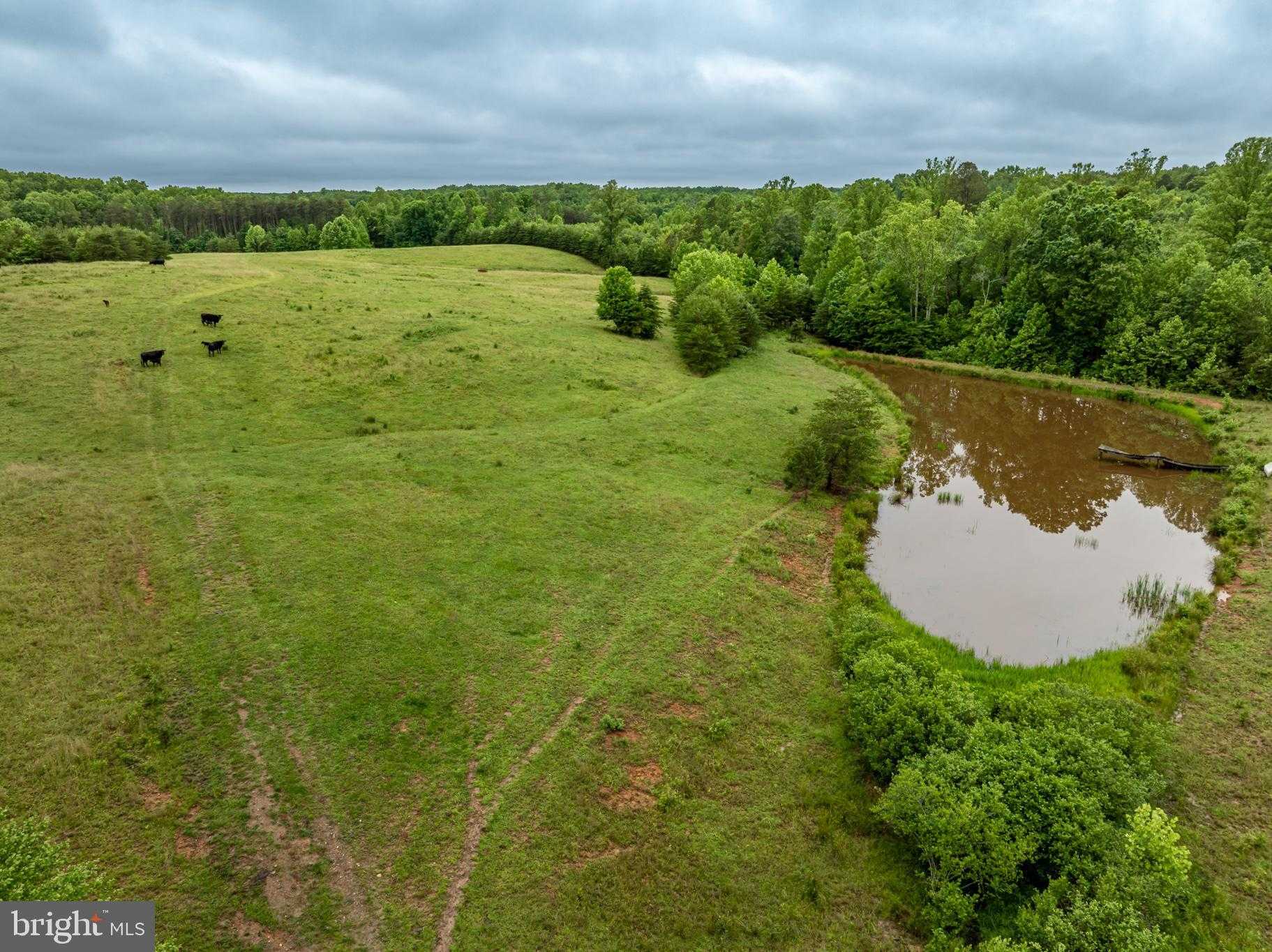 50 Elizabeth Ln photo 25