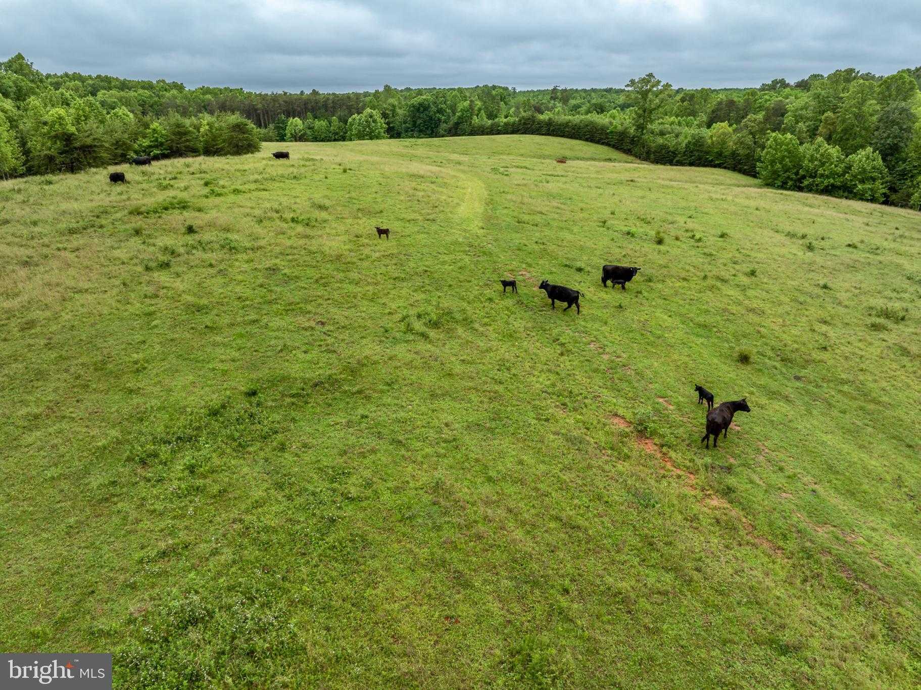 50 Elizabeth Ln photo 26