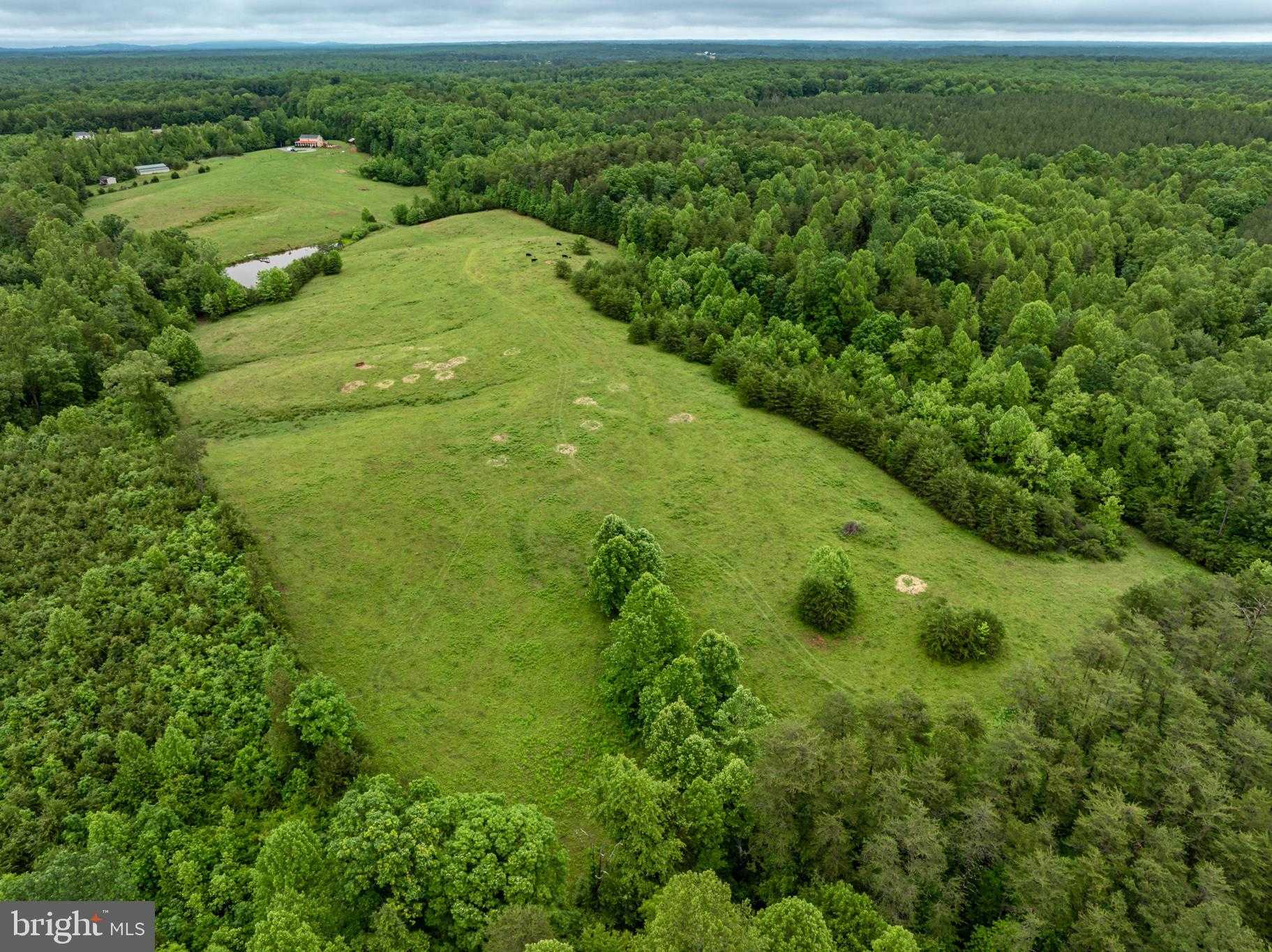 50 Elizabeth Ln photo 31