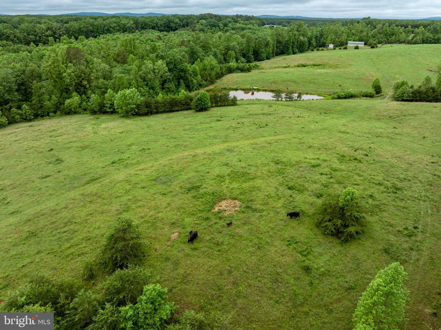 50 Elizabeth Ln photo 33