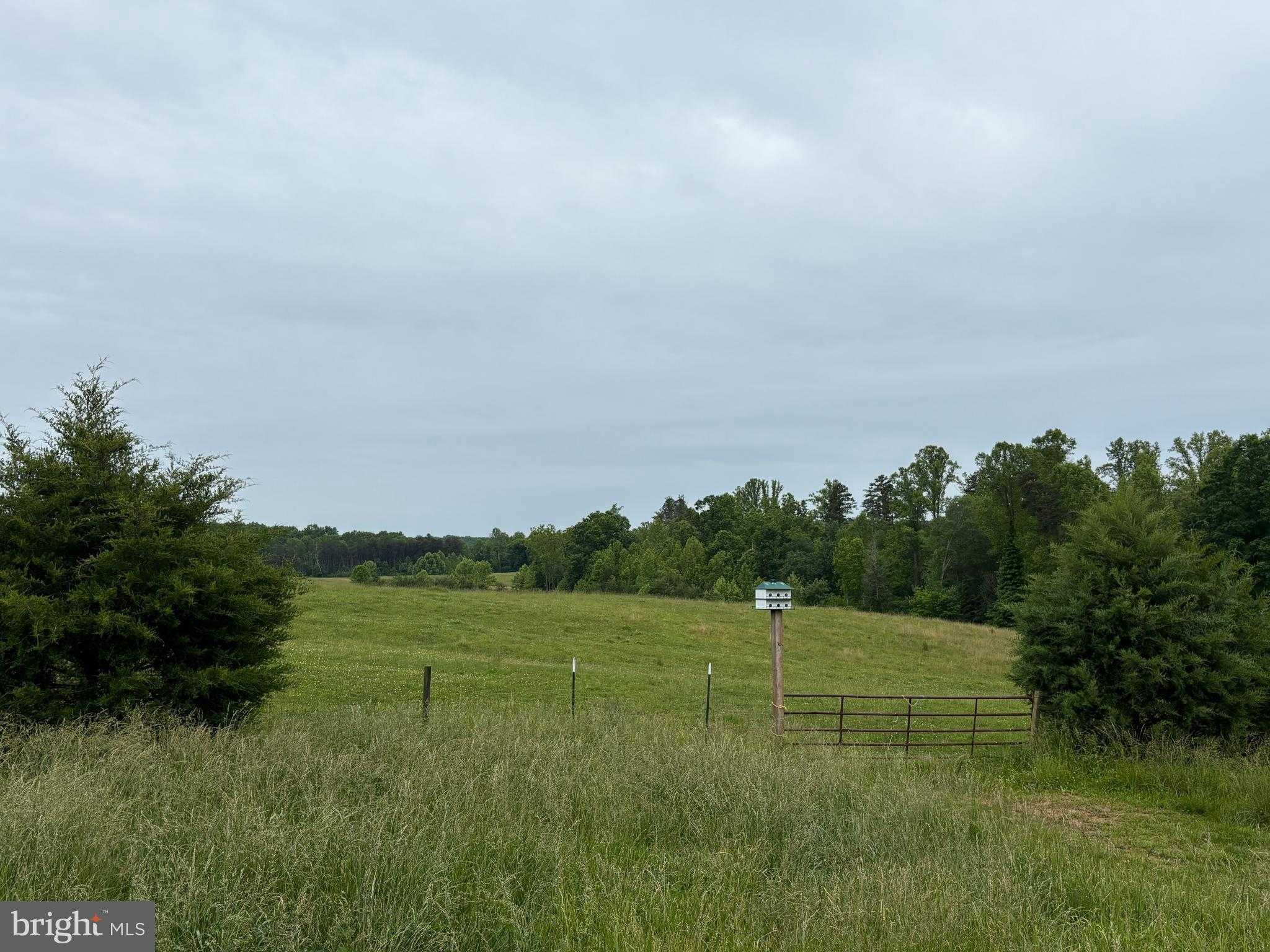 50 Elizabeth Ln photo 4