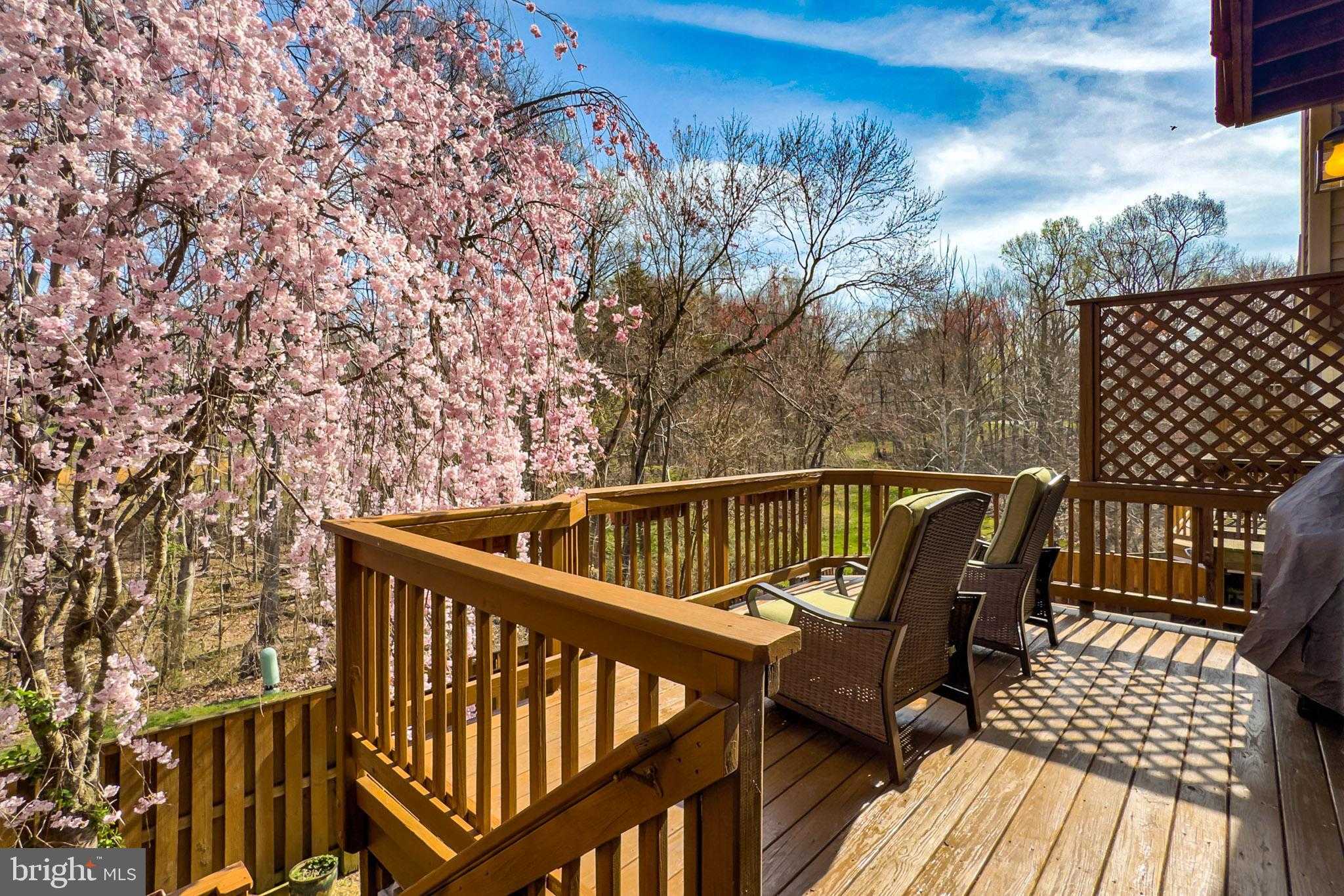 7923 Valleyfield Dr photo 18