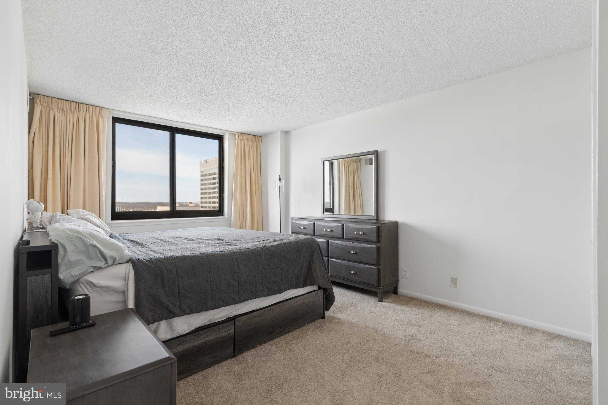 5505 Seminary Rd Apt 1106n photo 13