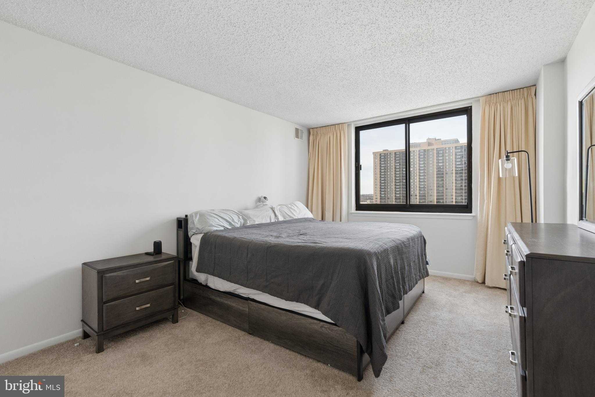 5505 Seminary Rd Apt 1106n photo 14