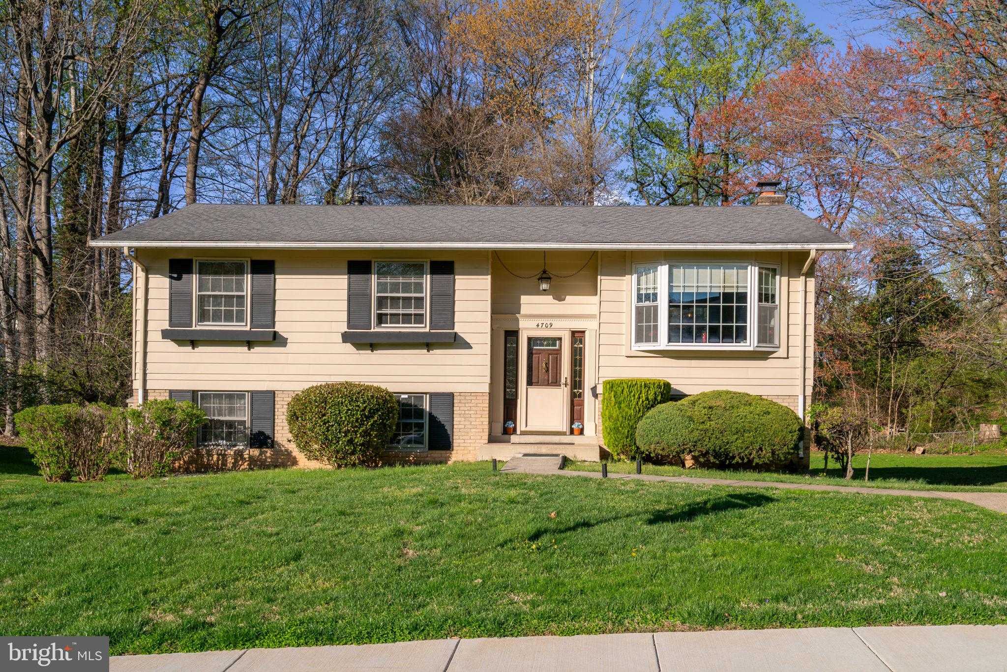 4709 Iris Pl photo 3