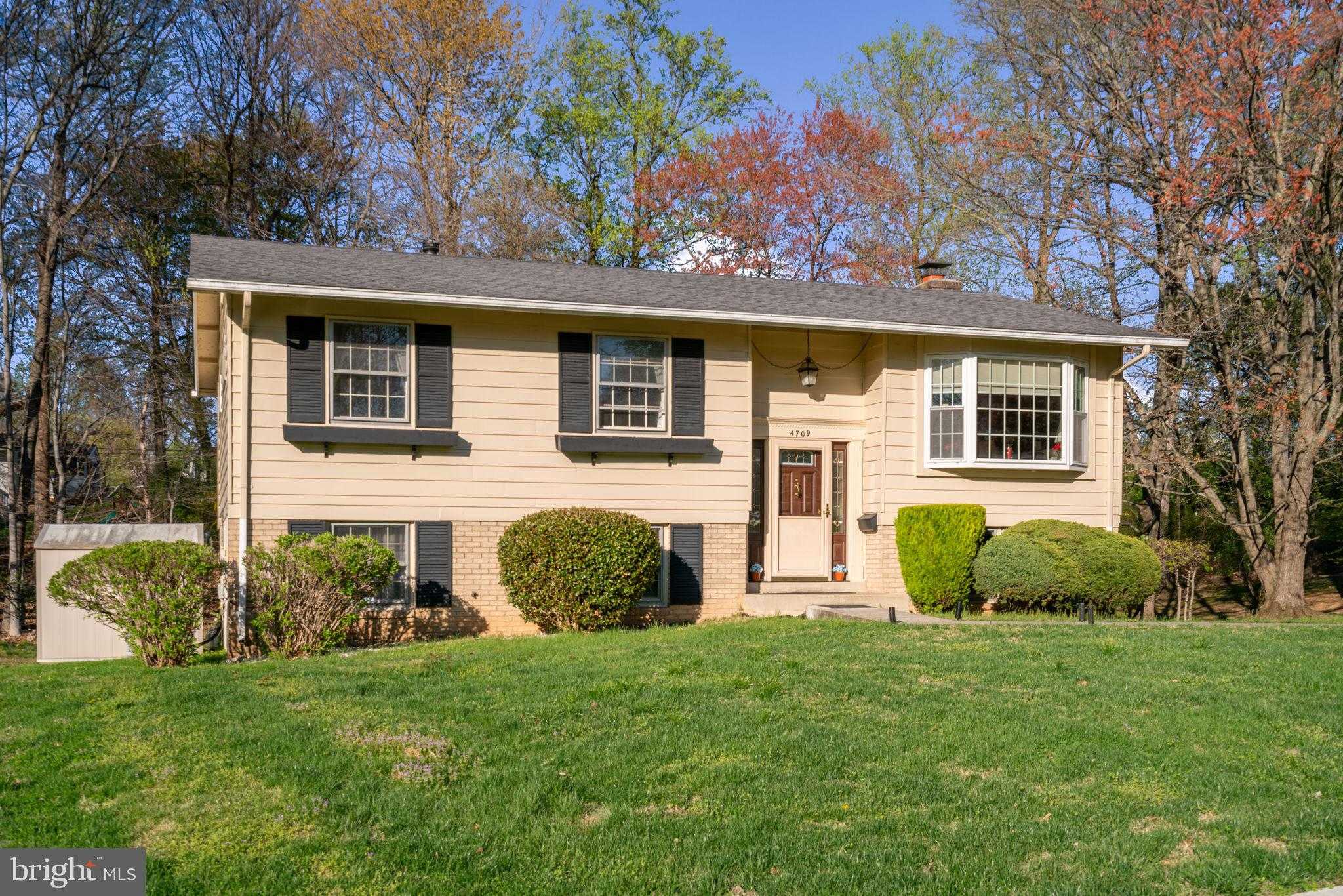 4709 Iris Pl photo 5