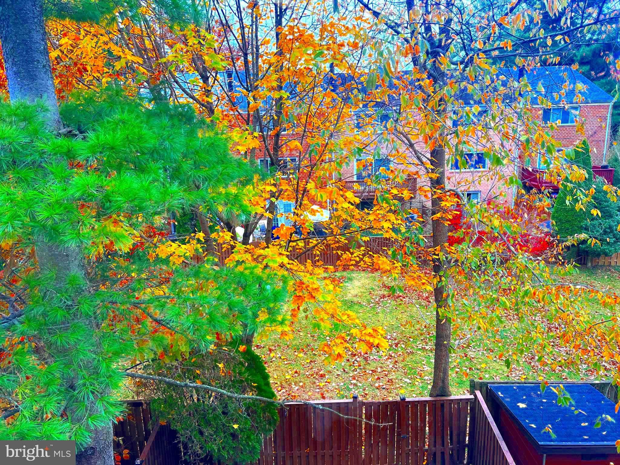 95 Blondell CT photo 23