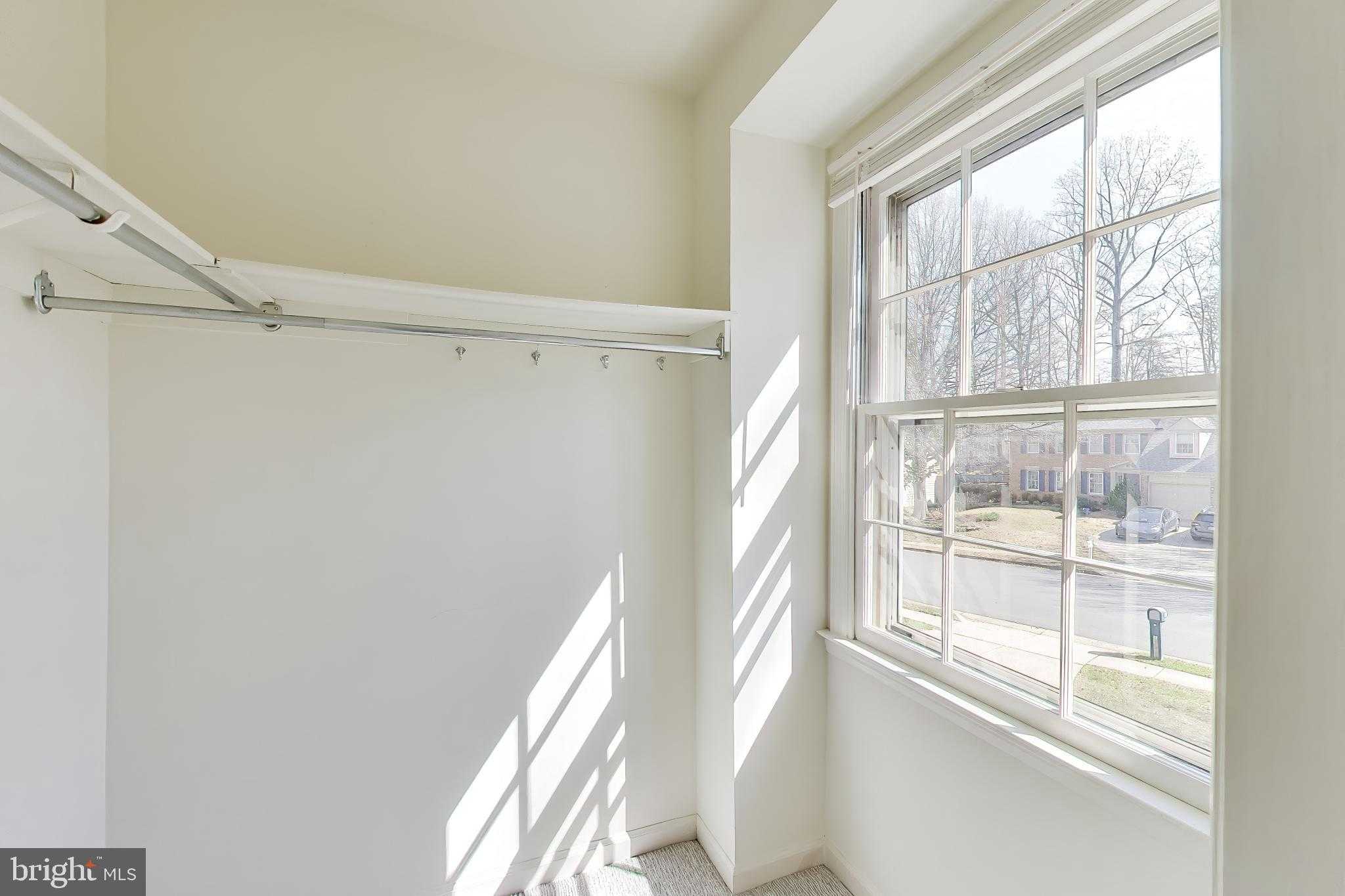 10150 Red Spruce Rd photo 32