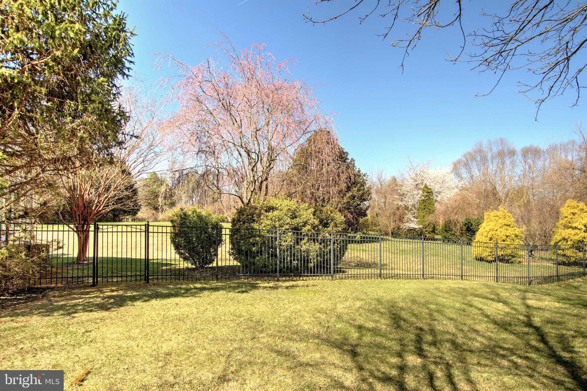 1096 Great Passage Blvd photo 69