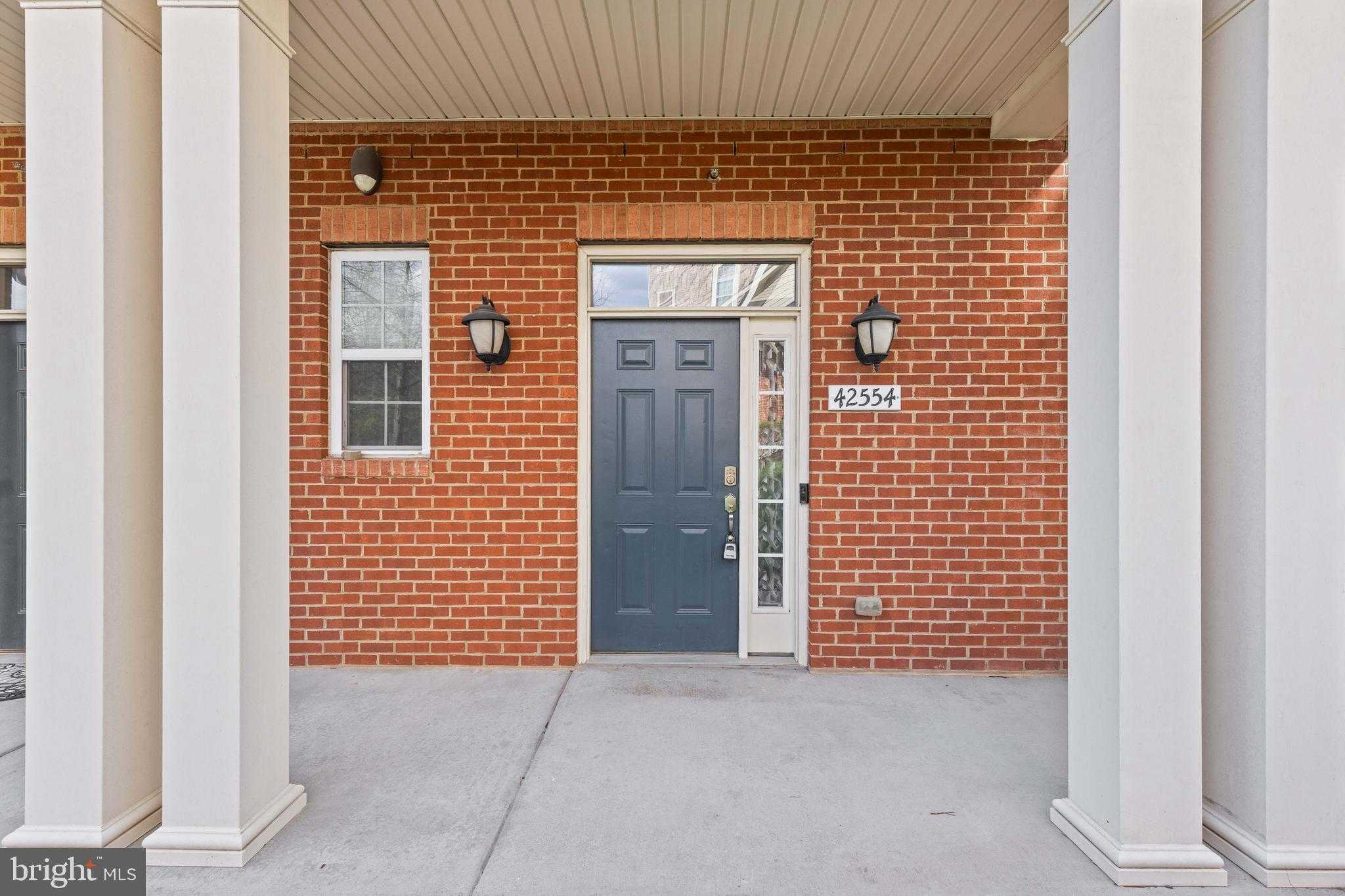 42554 Wildly Ter photo 2