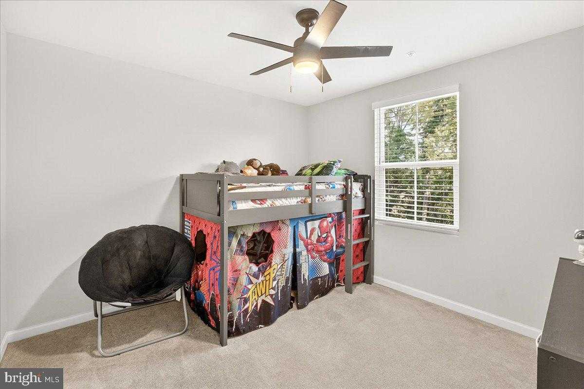 42 Raymond Xing photo 23