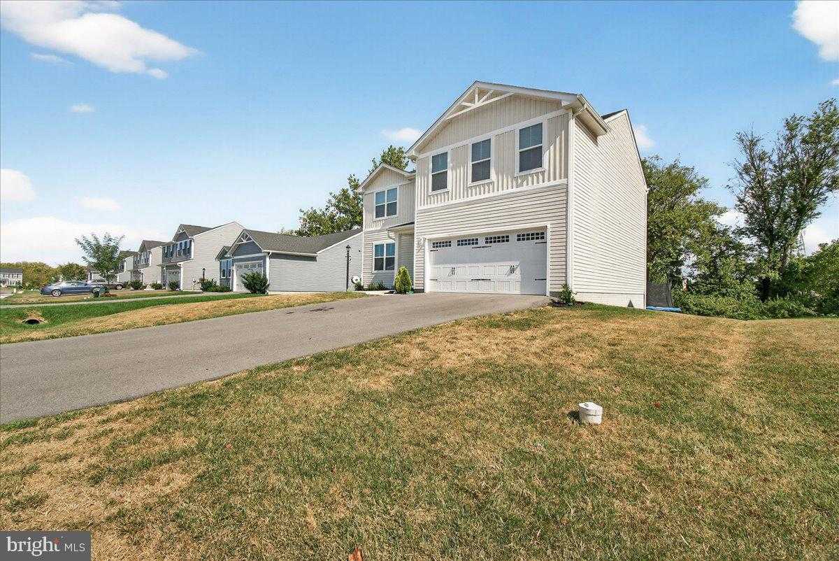 42 Raymond Xing photo 34