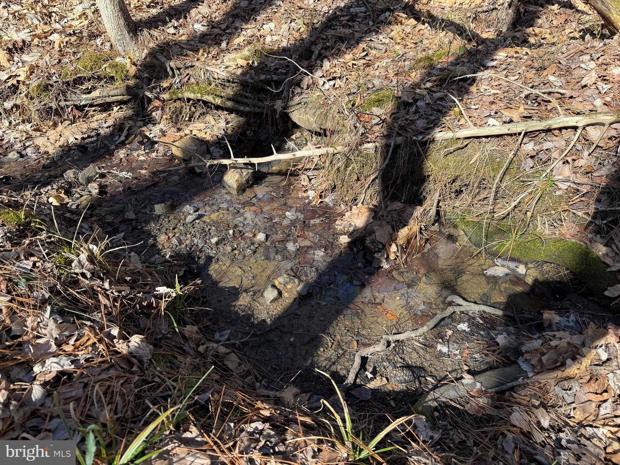 Maple Bridge Rd photo 11