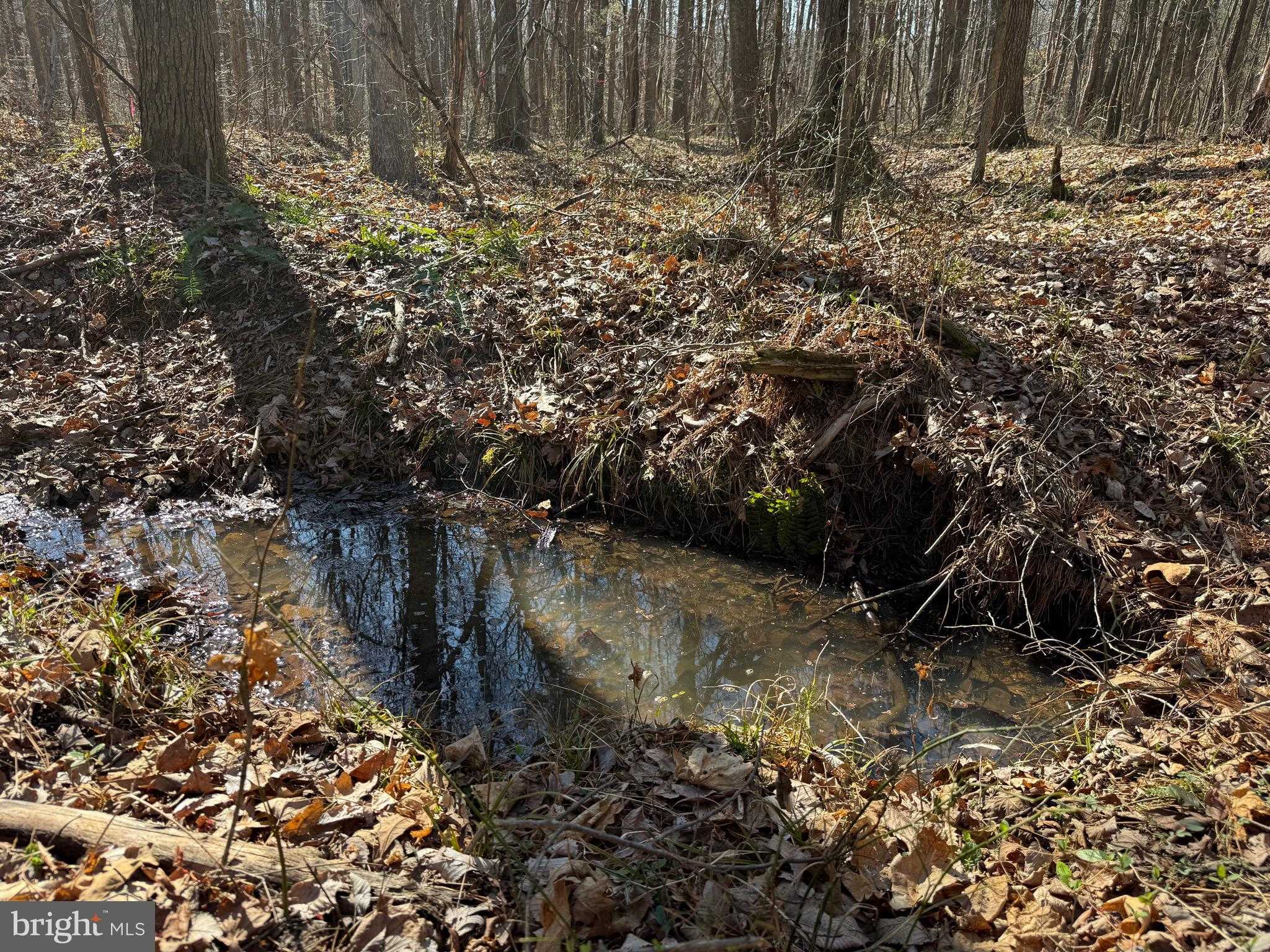 Maple Bridge Rd photo 12