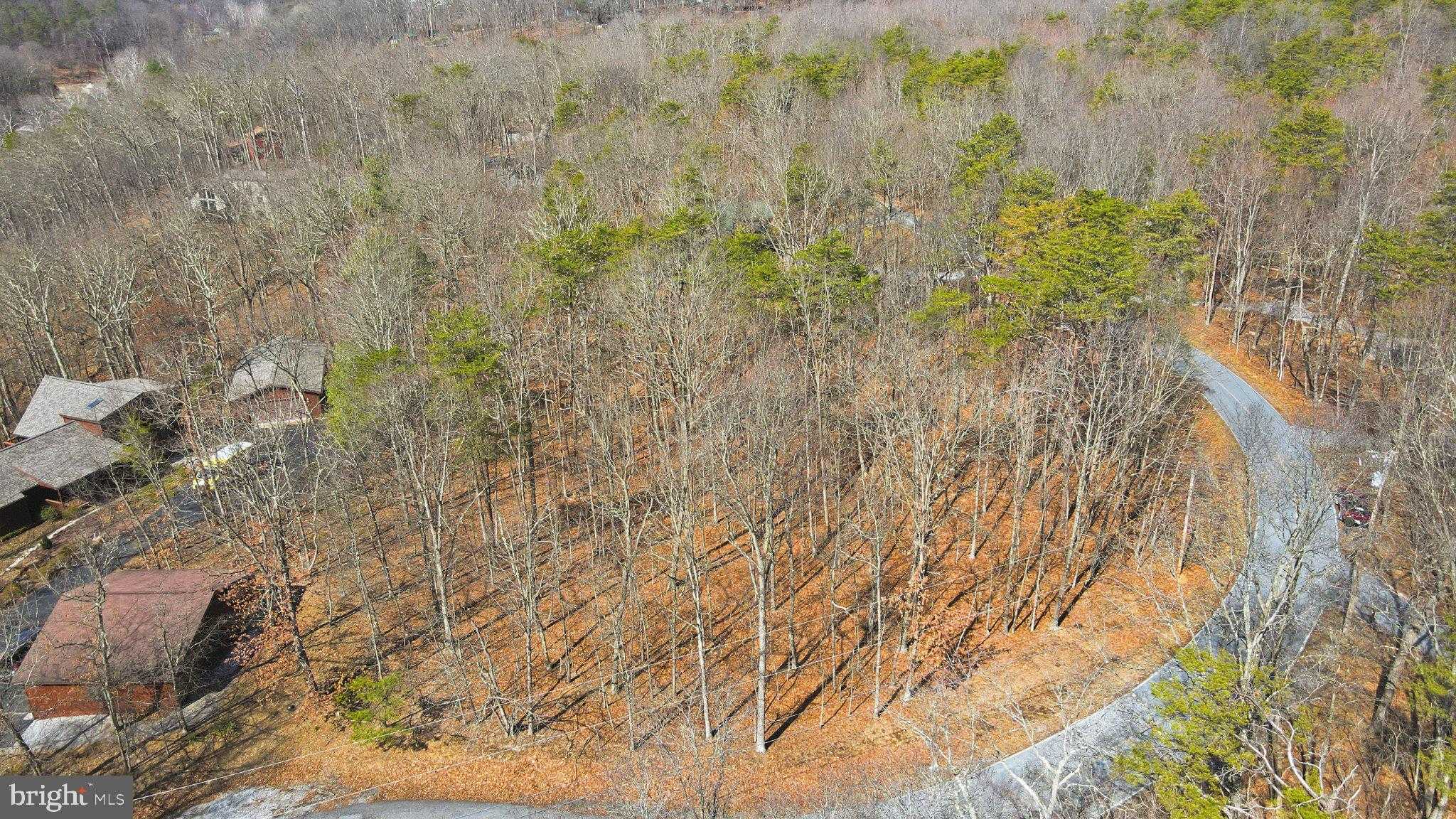 904 Walden Rd photo 28