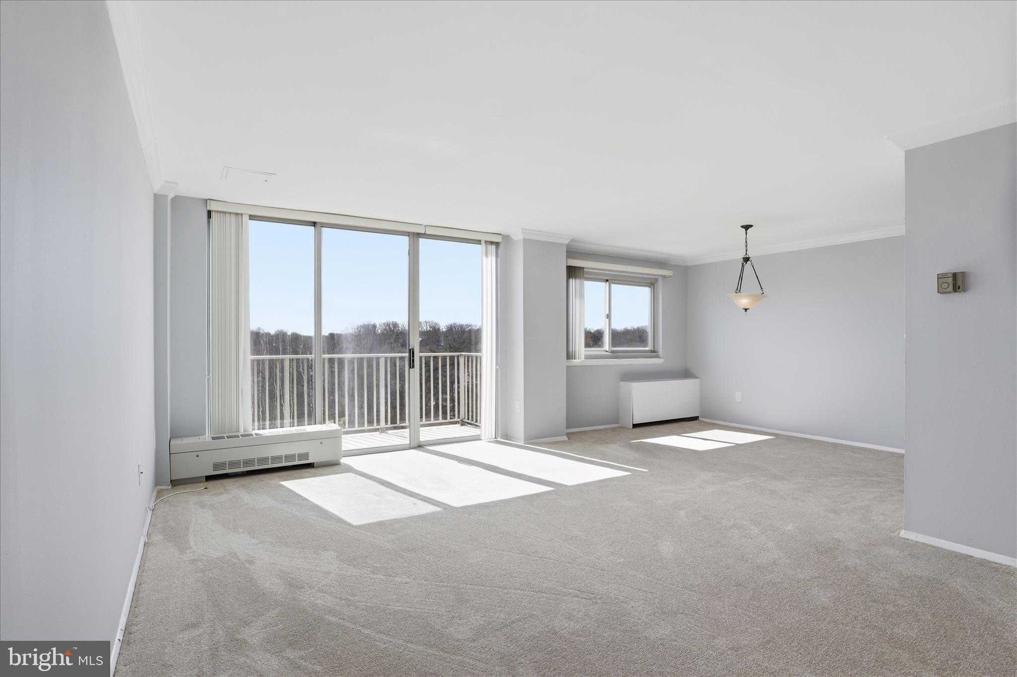 1225 Martha Custis Dr # 1614 photo 11