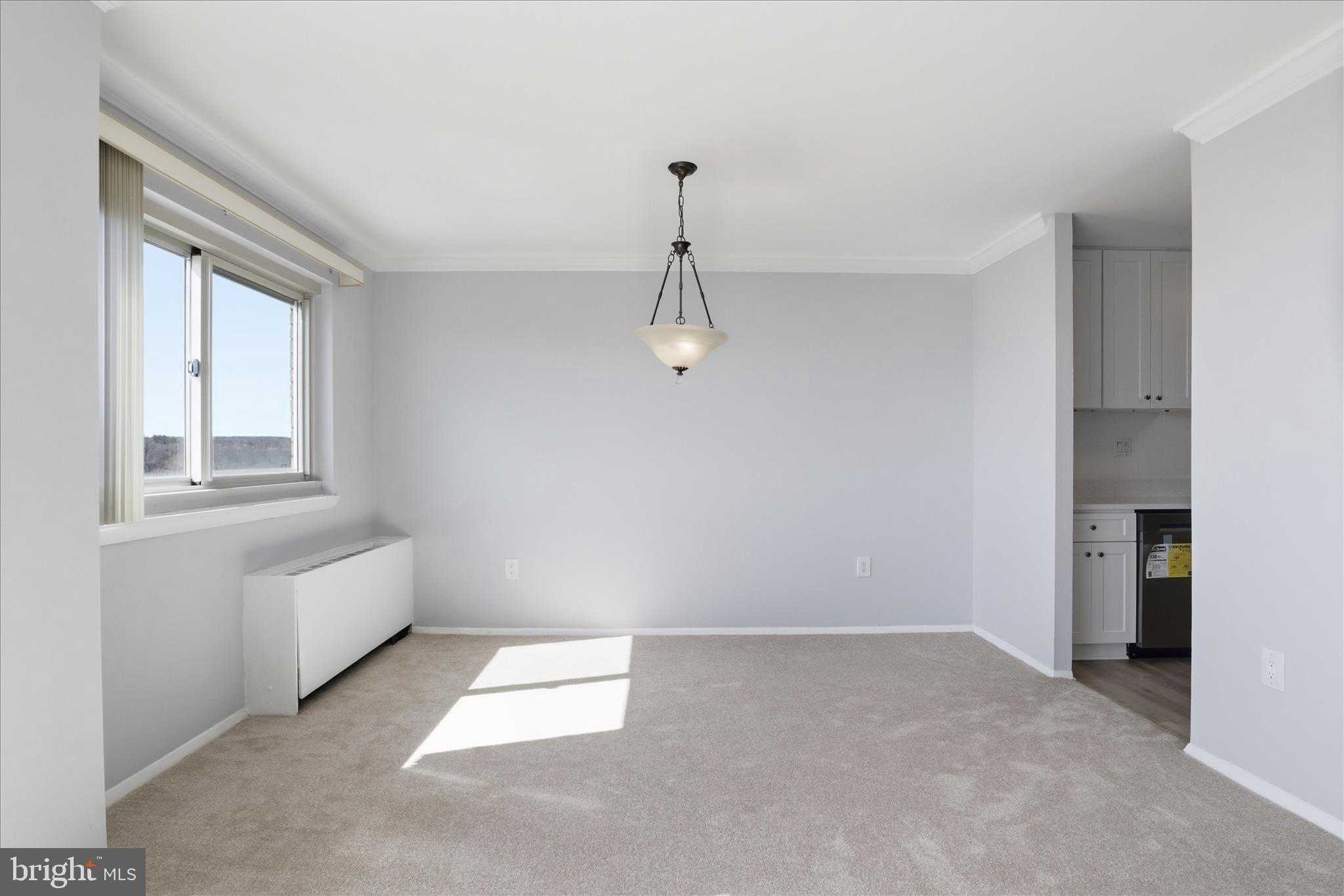 1225 Martha Custis Dr # 1614 photo 12