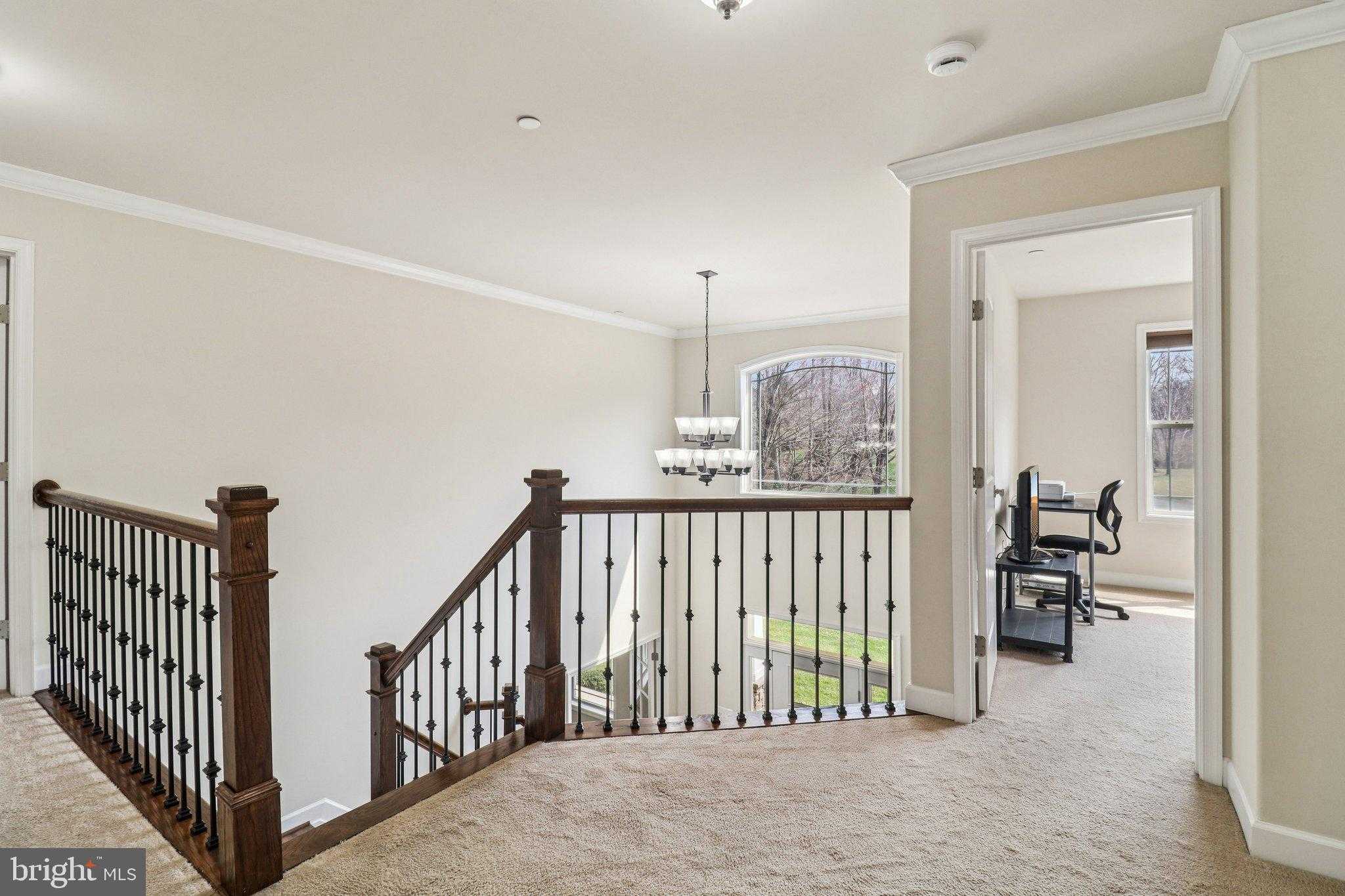 11511 Summerton CT photo 49