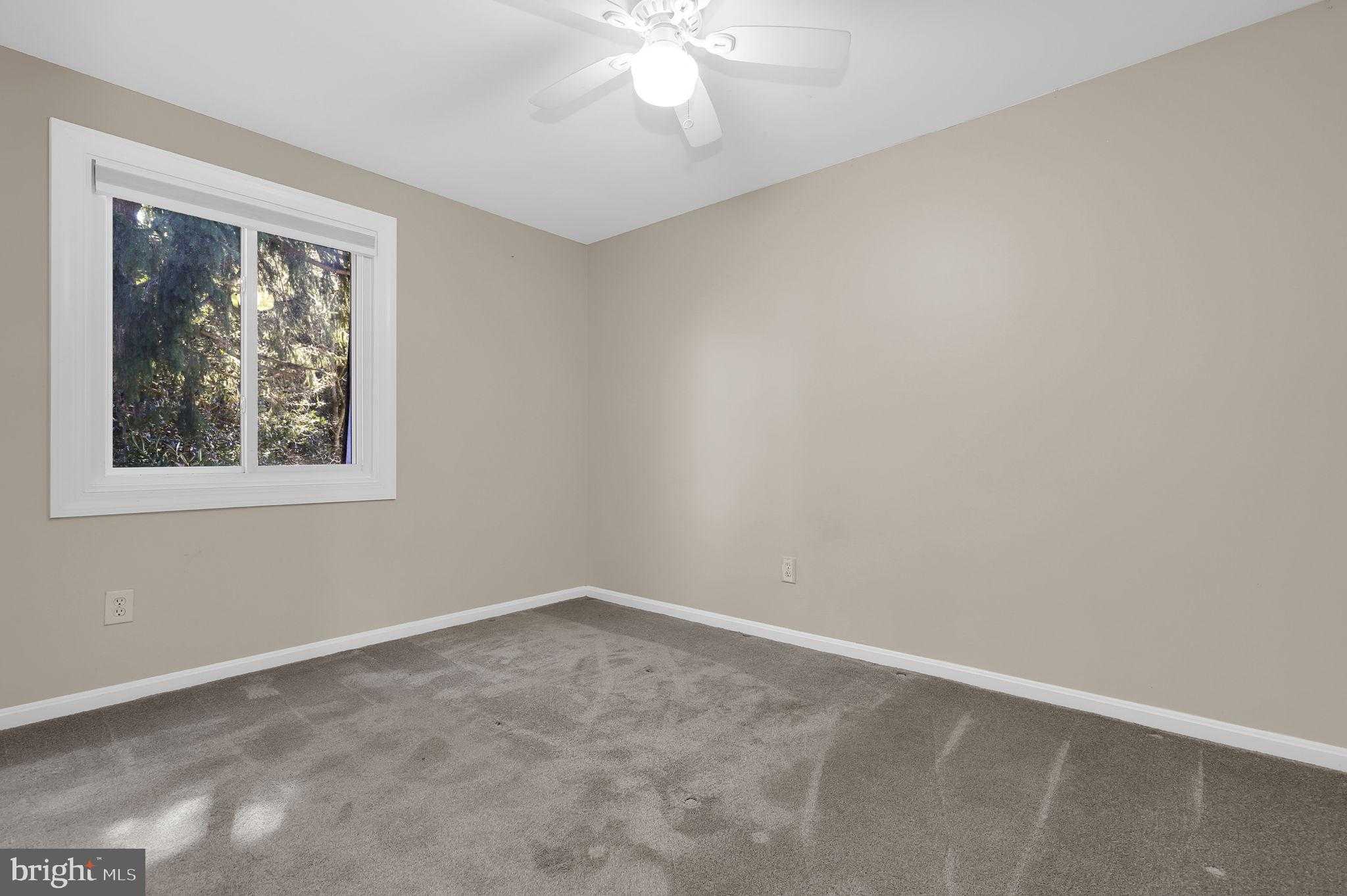 19103 Capehart Dr photo 20