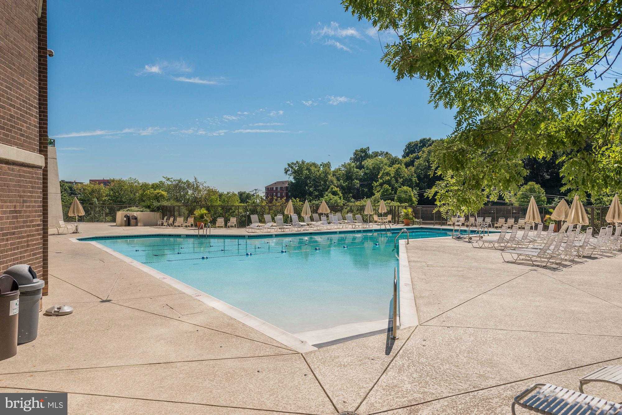 1600 N Oak St Apt 906 photo 23