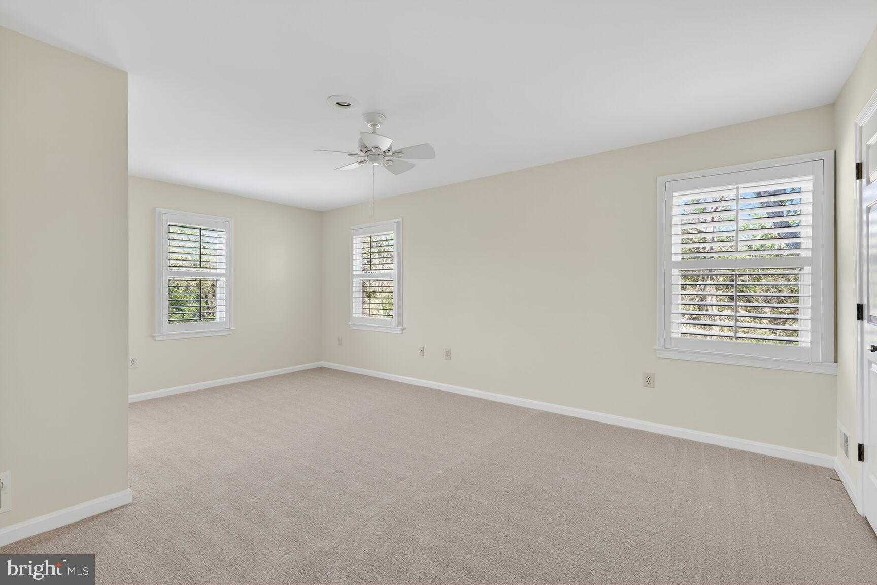 6587 Zoysia CT photo 13