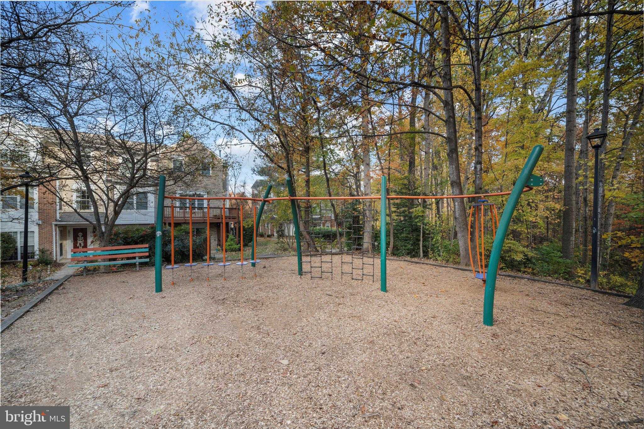 4367 Hackney Coach Ln photo 49