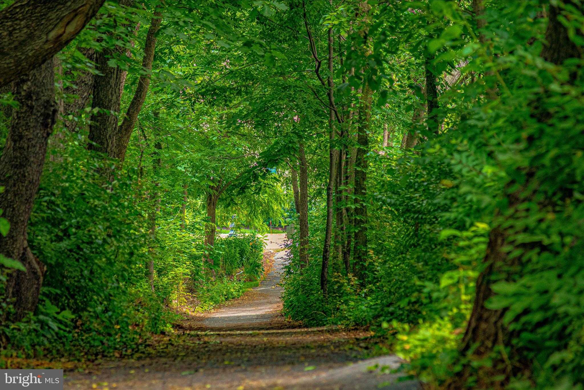 2583 Bear Den Rd photo 56