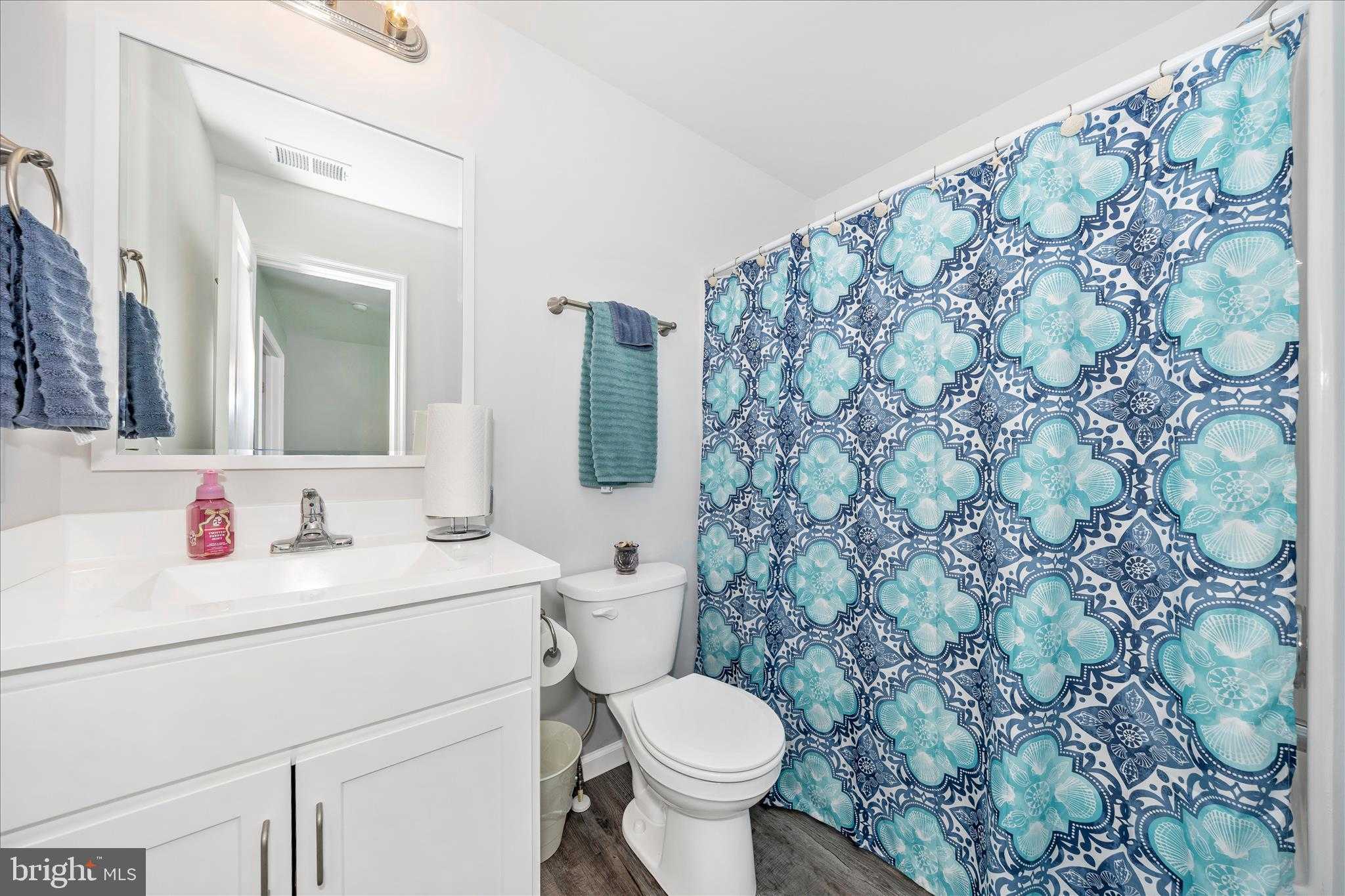 220 White Violet Way photo 28