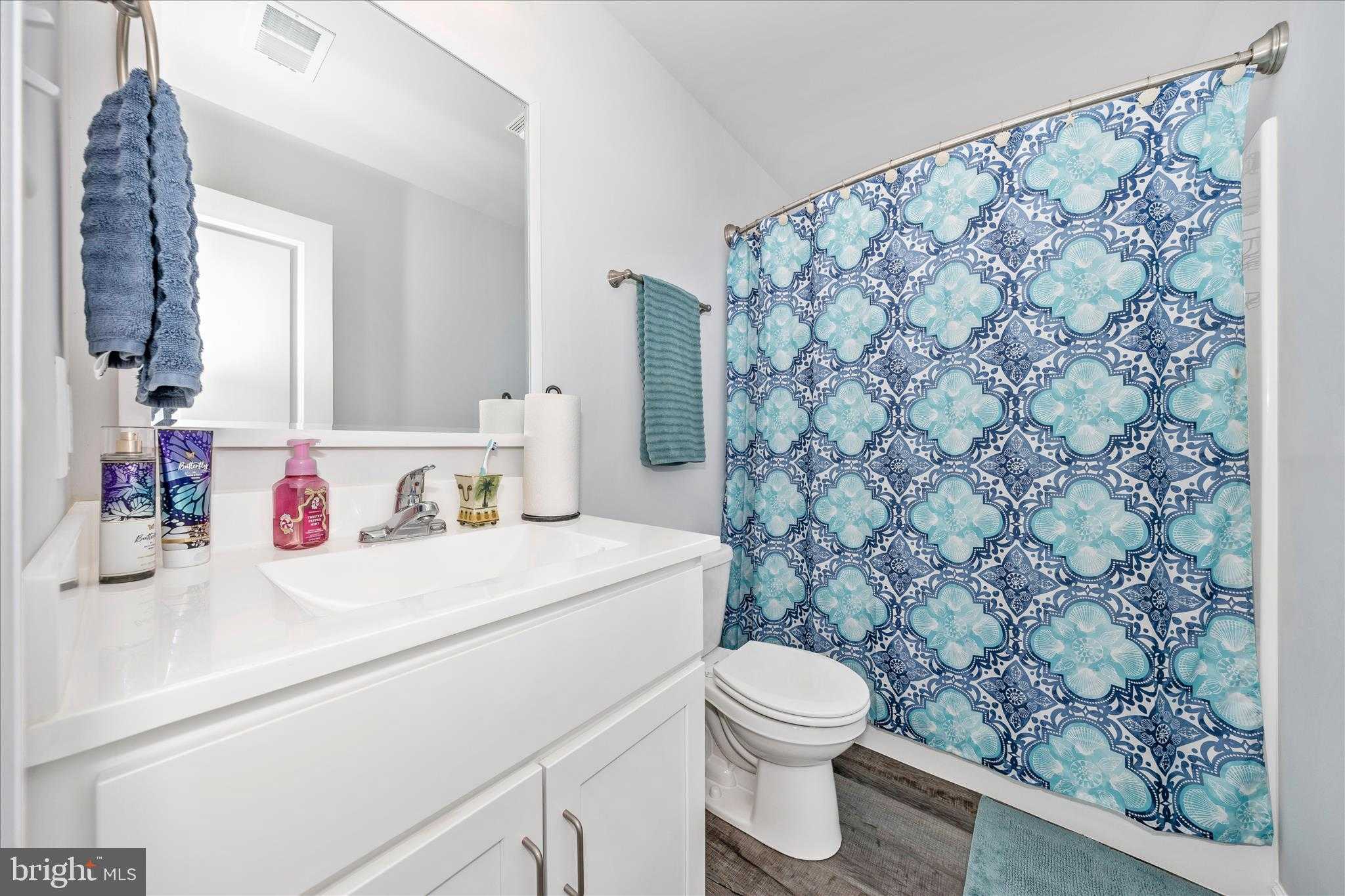 220 White Violet Way photo 34