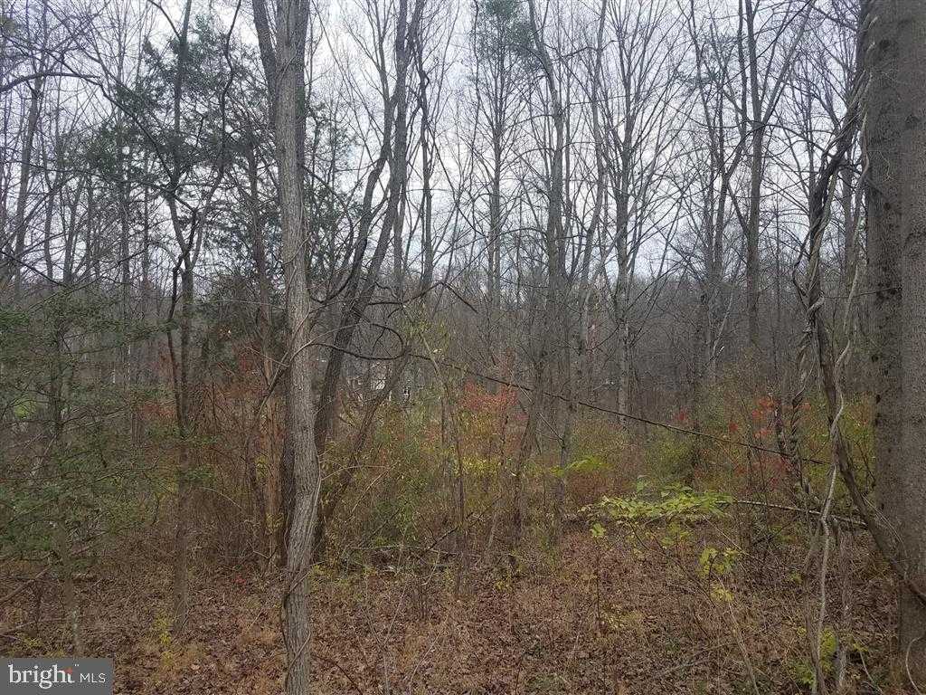 13101 Valley Dr photo 8