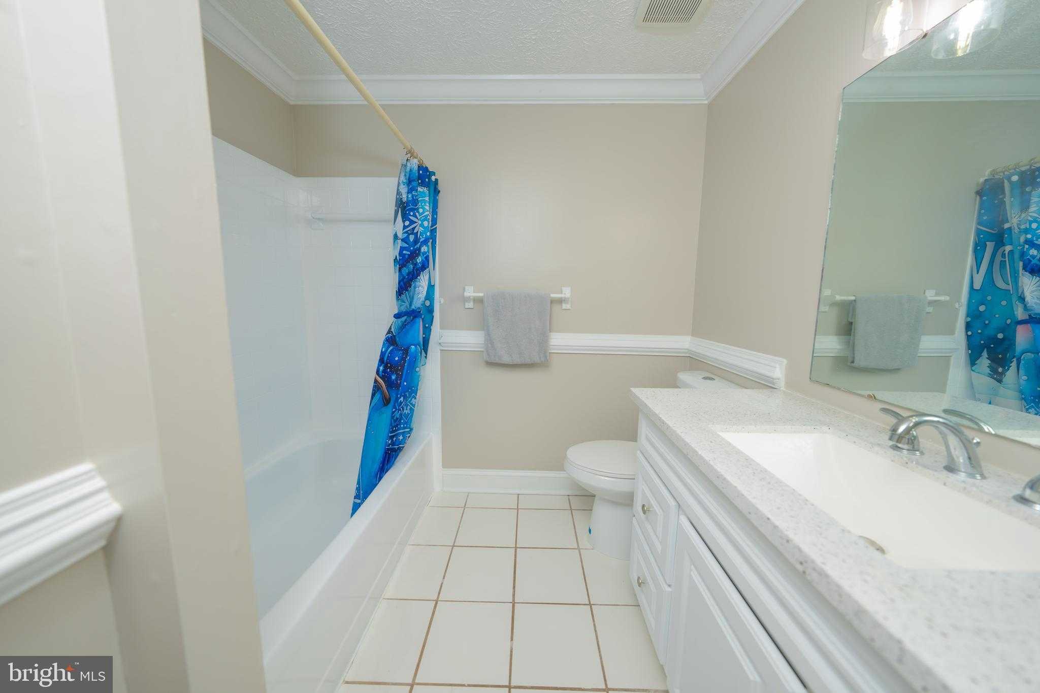 9203 Sheffield Hunt CT photo 22