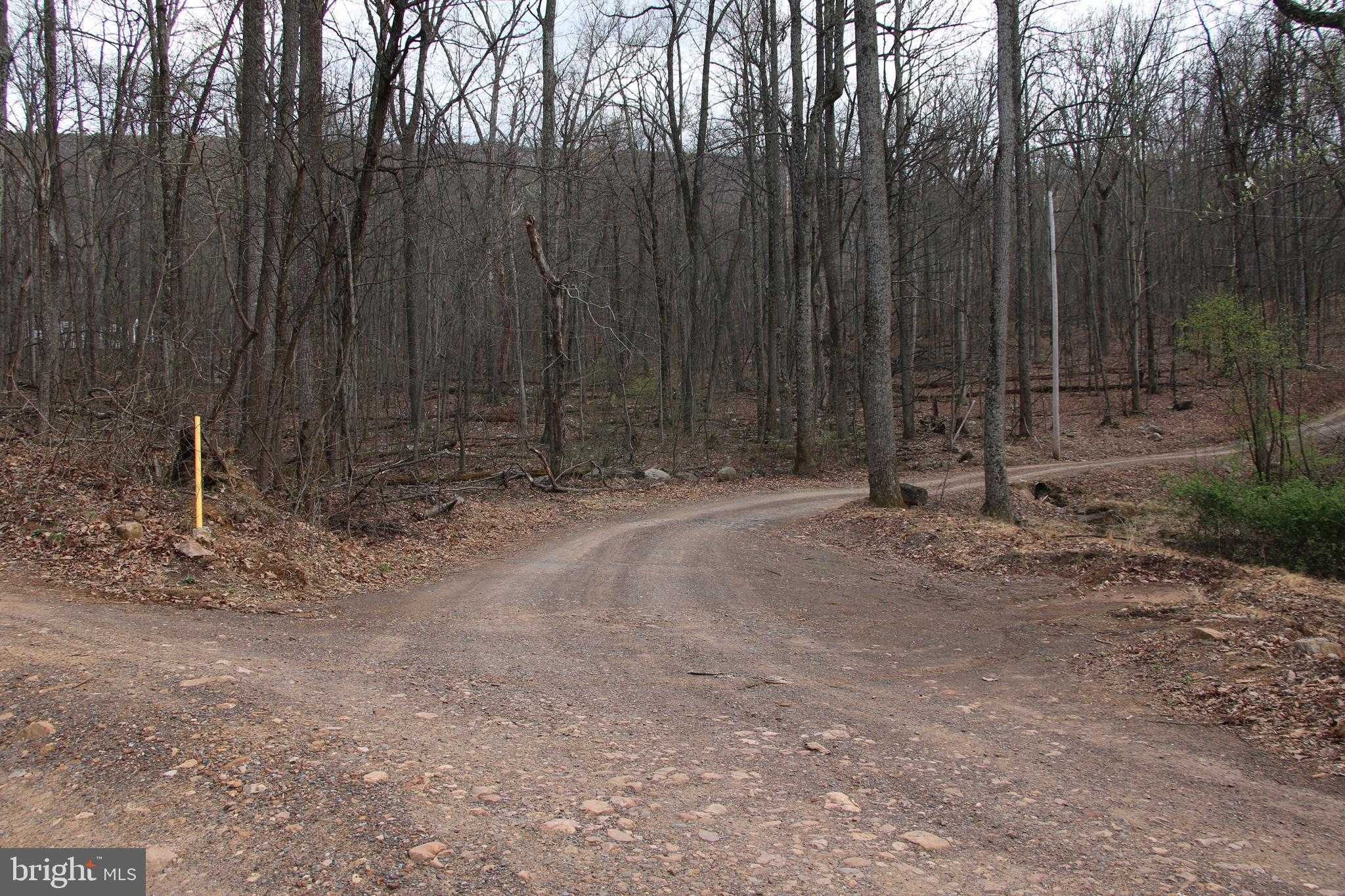 680 Sawlog Rd photo 40