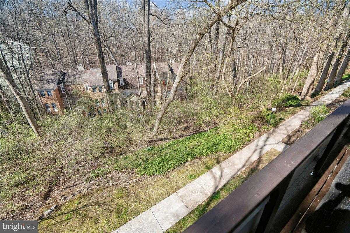 7529 Spring Lake Dr photo 43