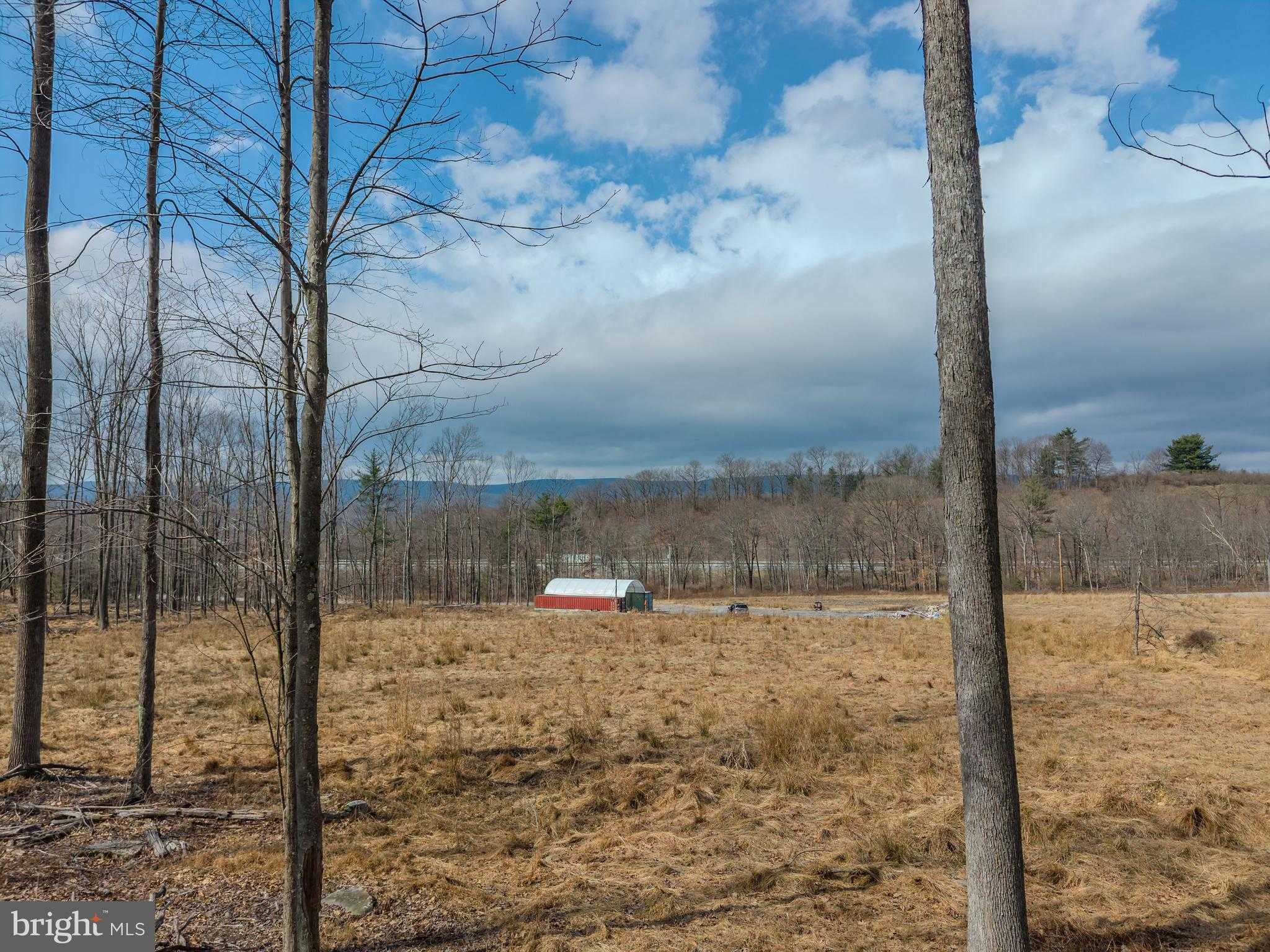 242 Brush Mountain Rd photo 20