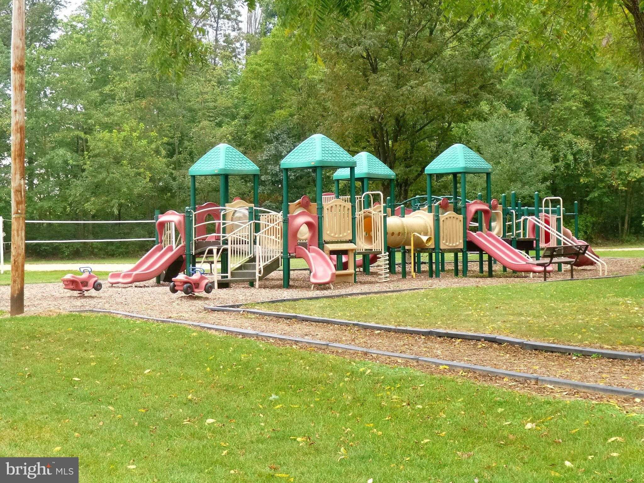 15 Sedgwick Dr photo 63