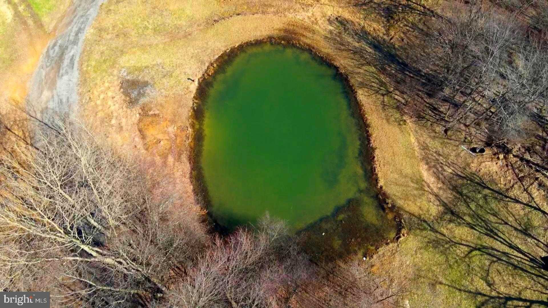 301 Dinkenberger Rd photo 40