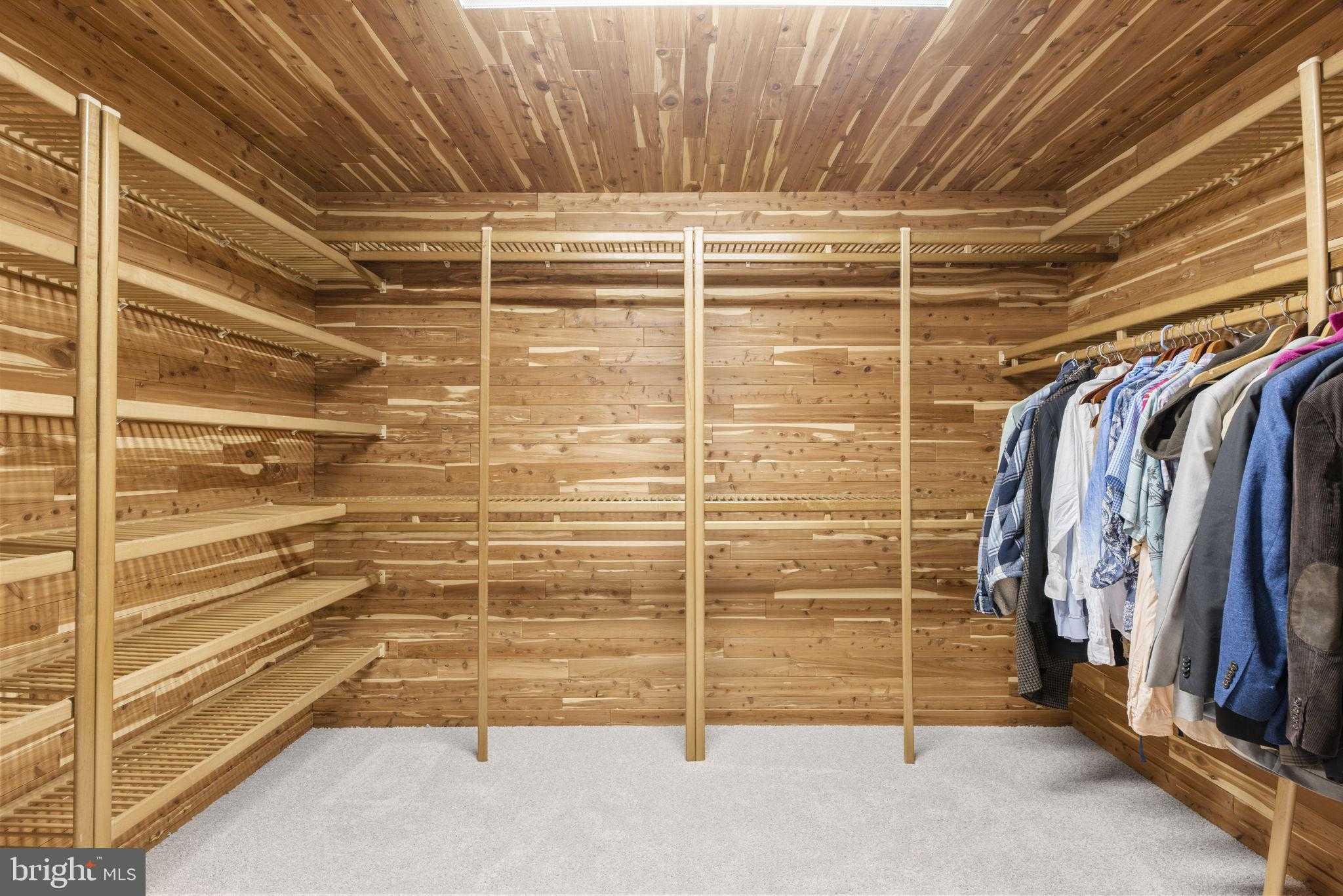 10429 Kingsbridge Rd photo 67