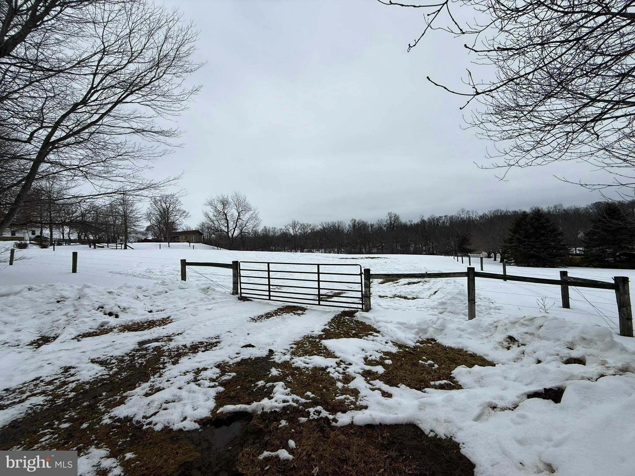 280 Mapleflower Rd photo 33