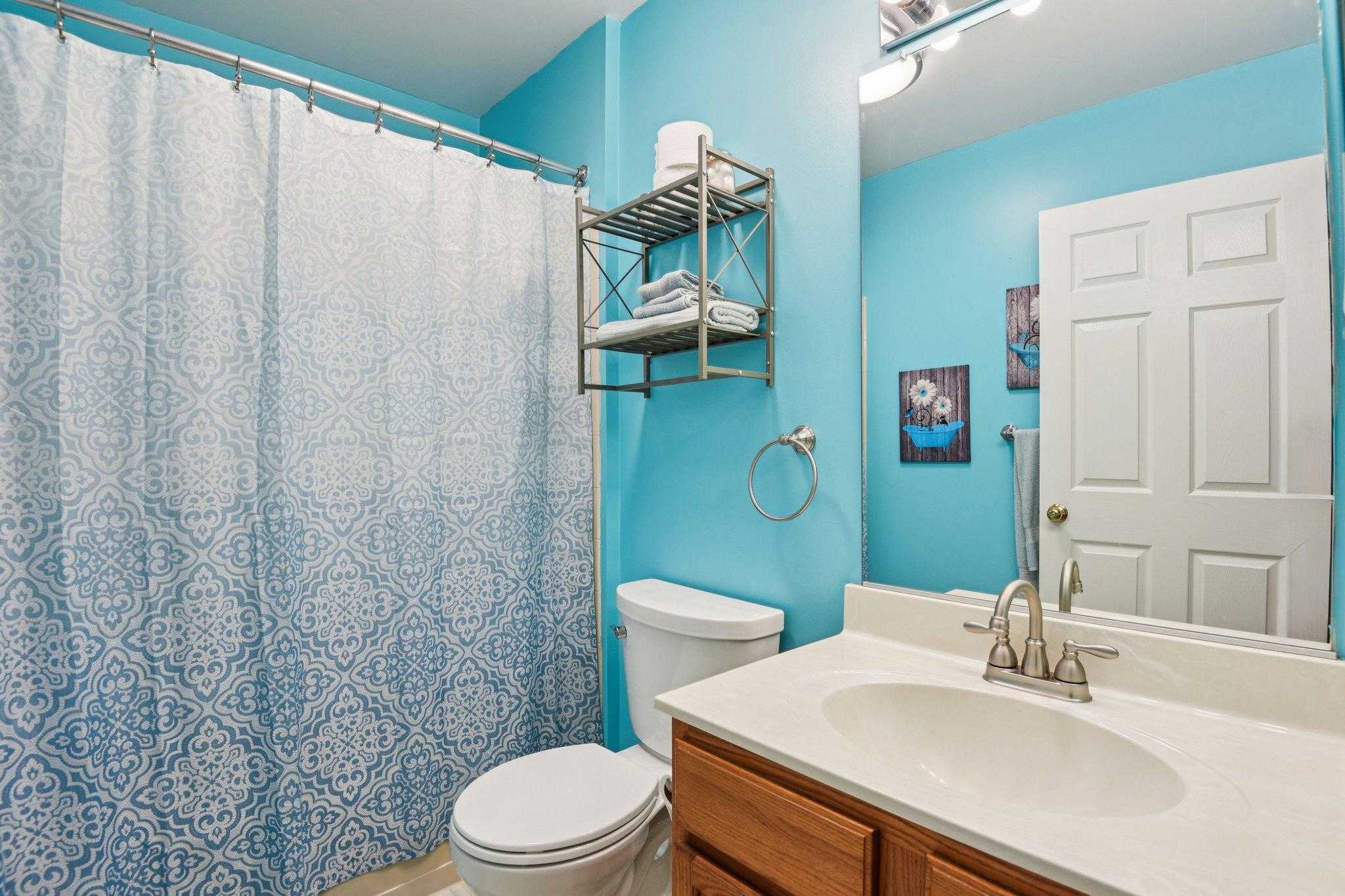 824 Snow Valley Ln photo 32