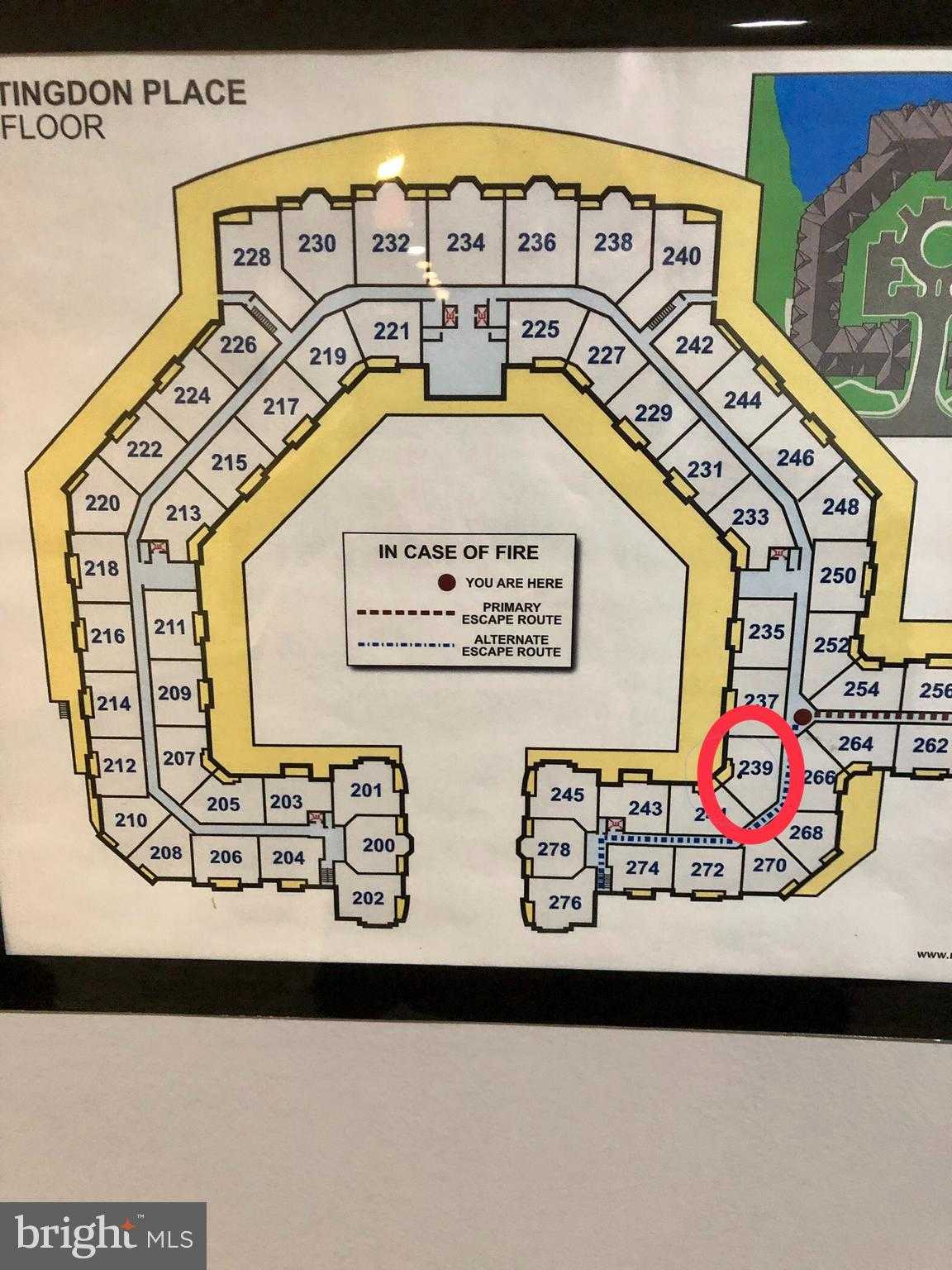 239 Carson Ter photo 18