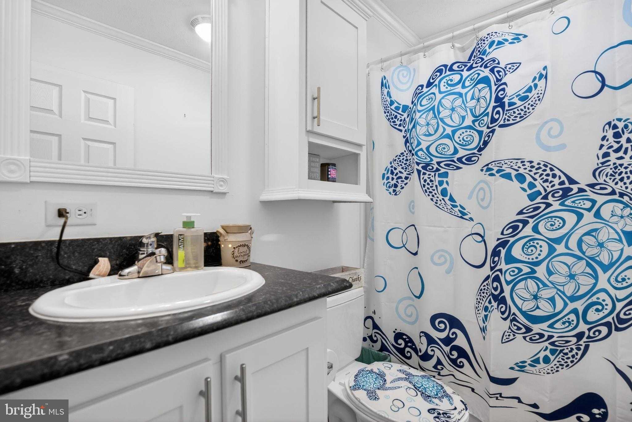 61 Violet Dr photo 15