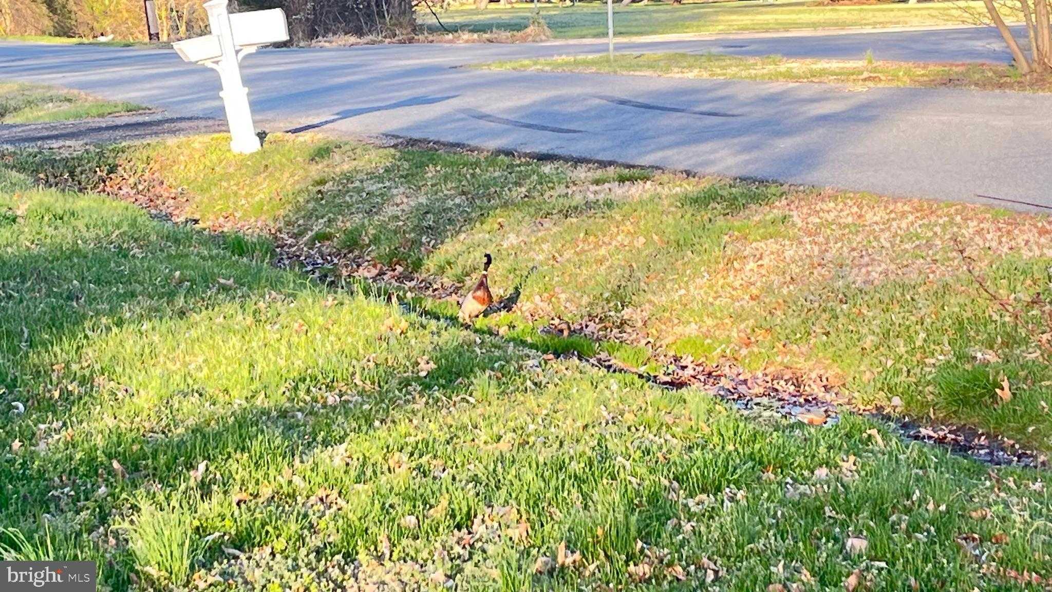 2203 Hambrooks Blvd photo 71