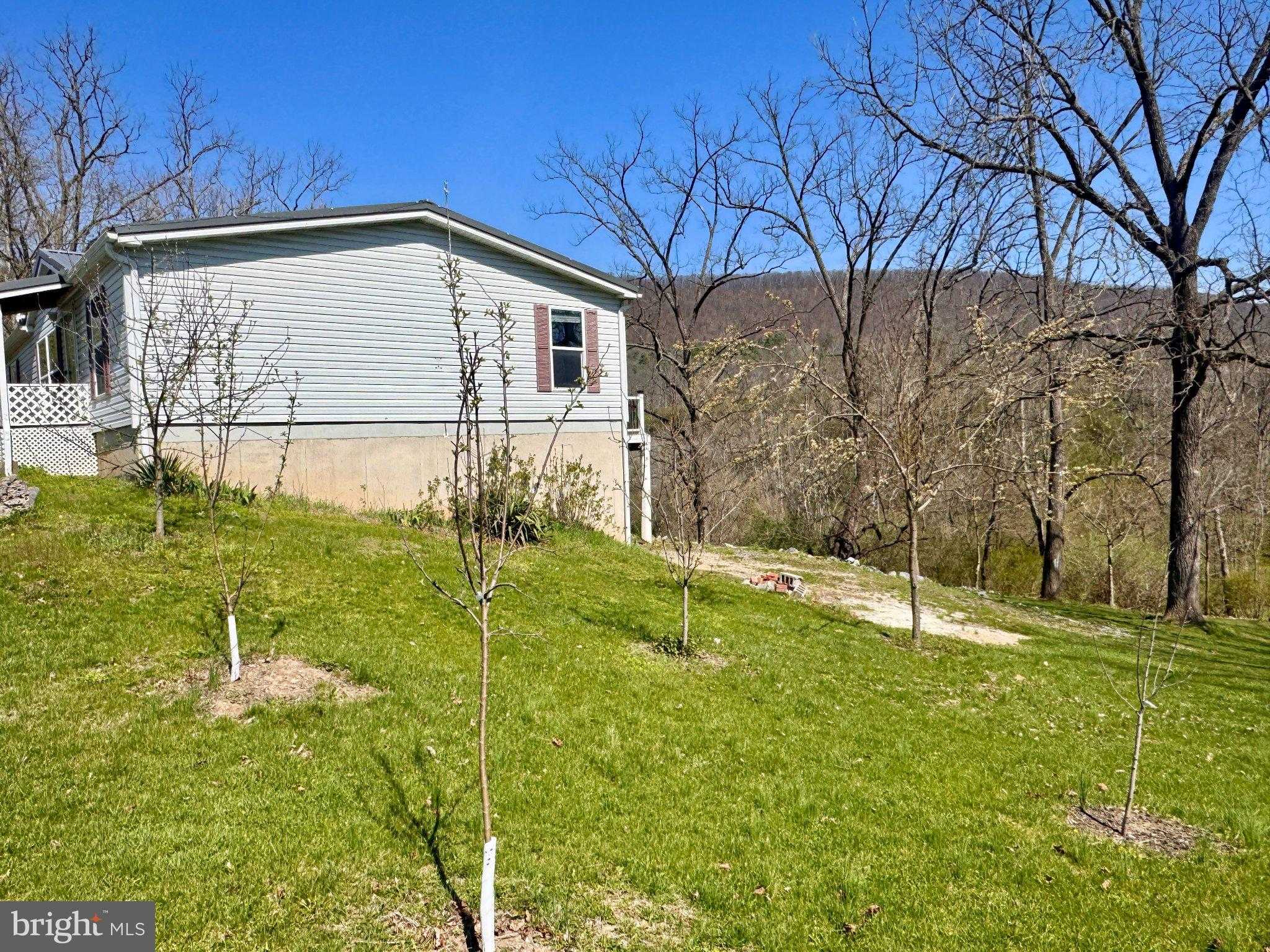 124 School House Dr photo 24