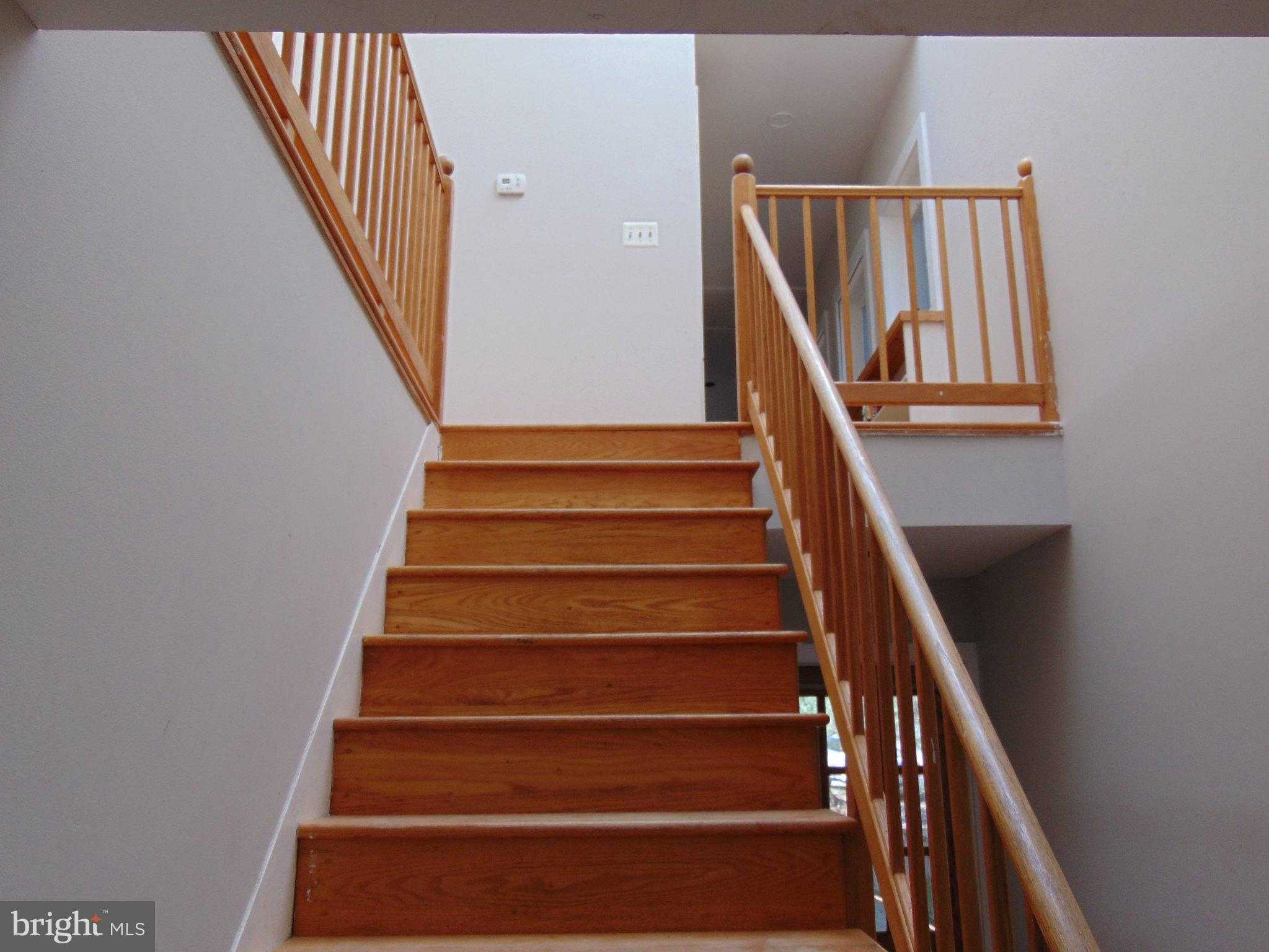 12466 Dalton Trl photo 14