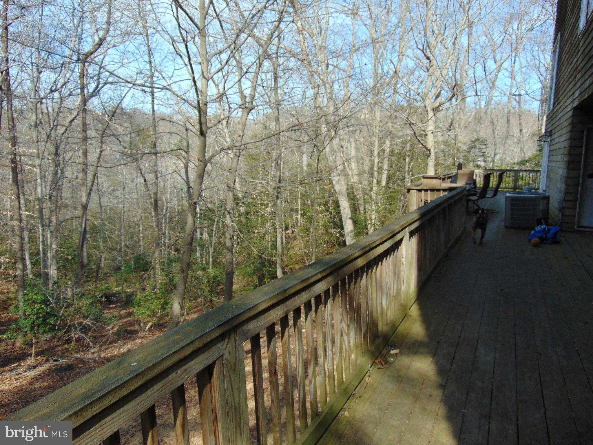 12466 Dalton Trl photo 41