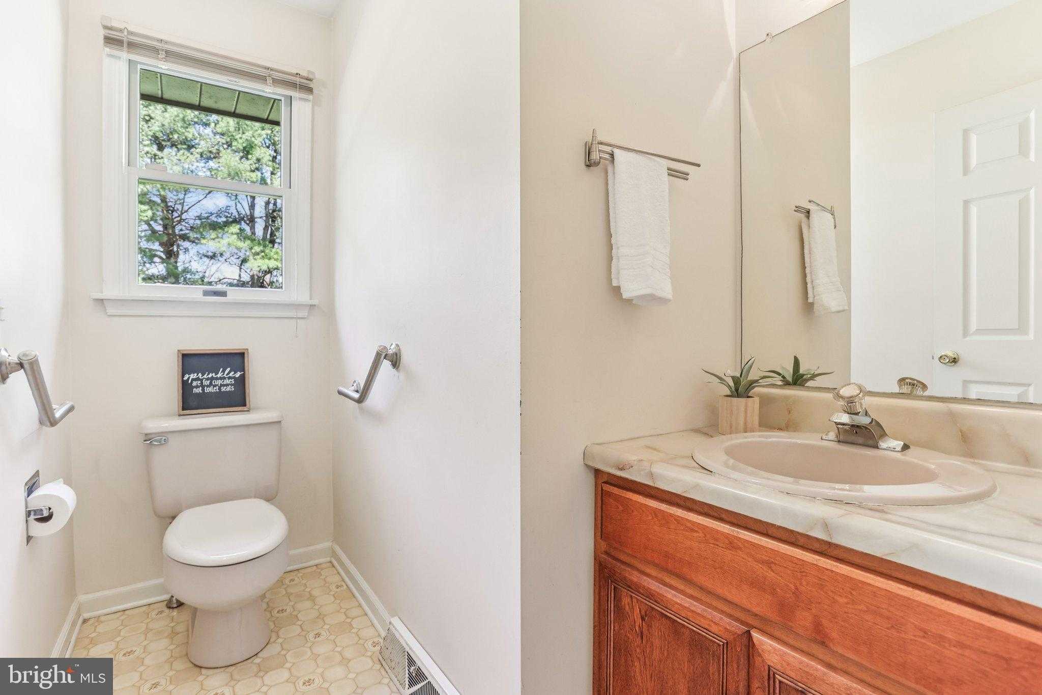 1 Saljon CT photo 29