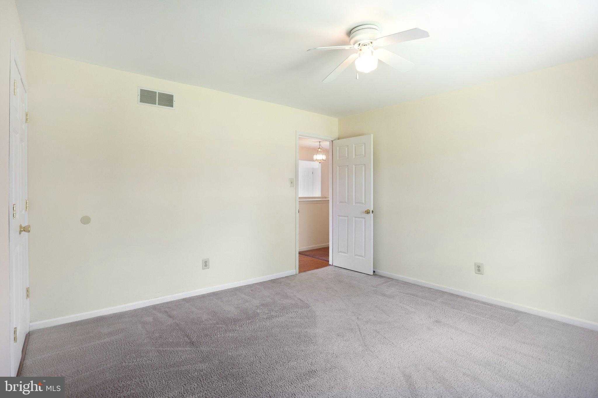 1 Saljon CT photo 51